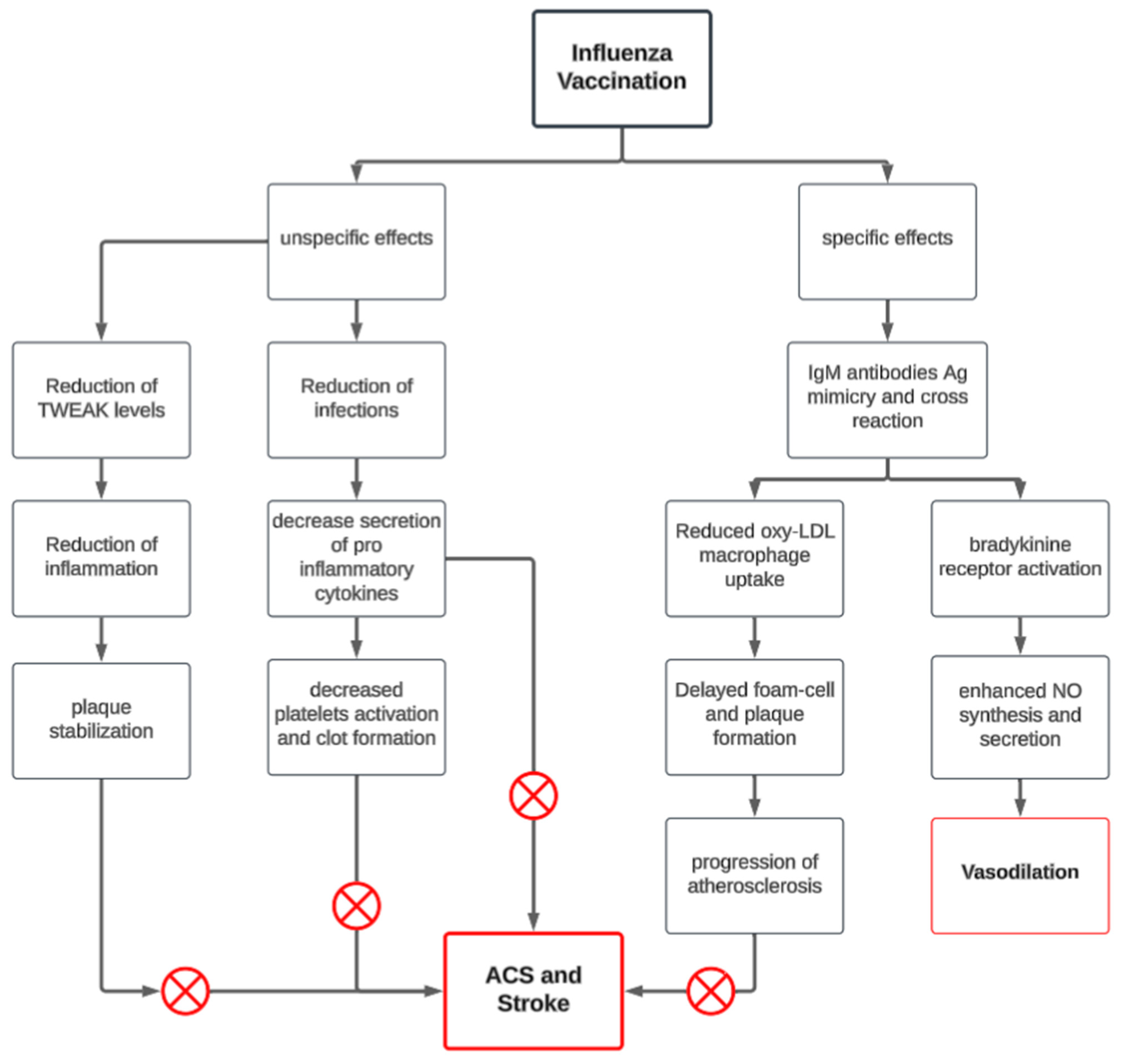 Vaccines 13 00522 g002