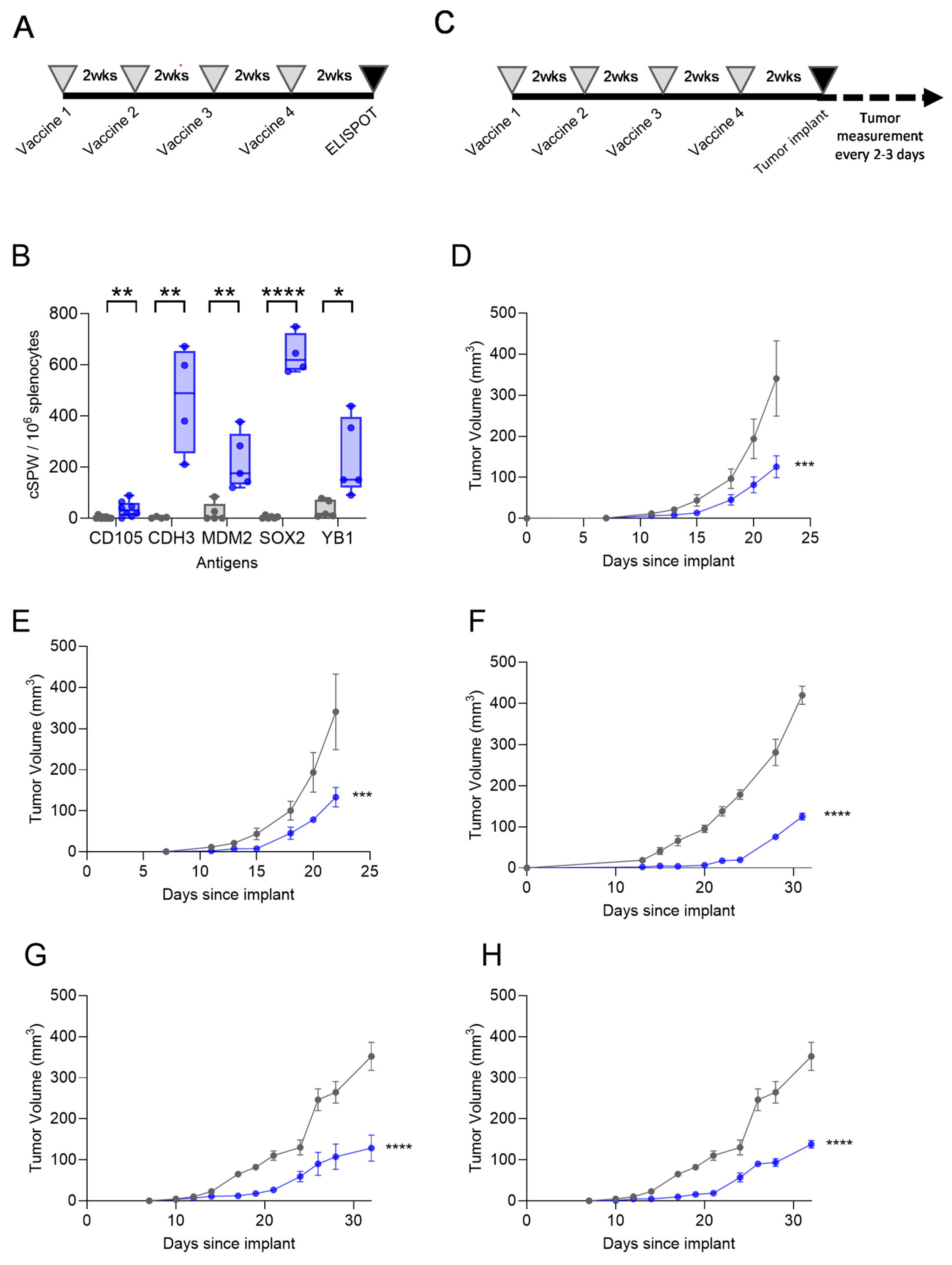 Vaccines 13 00525 g004 Vaccines 13 00525 g004