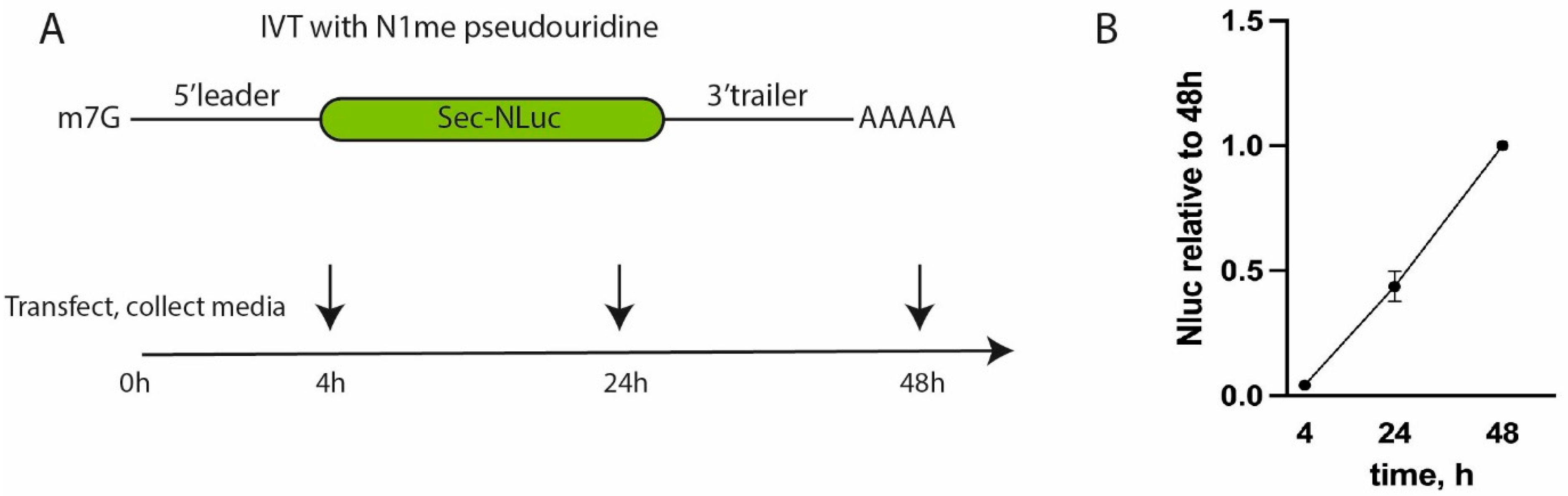 Vaccines 13 00530 g001