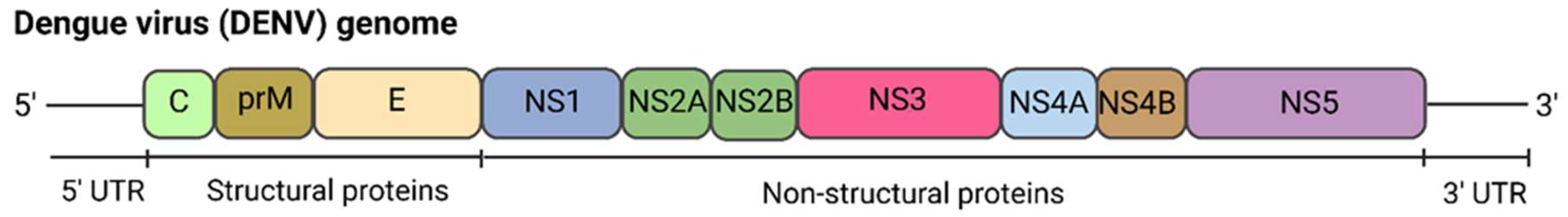 Vaccines 13 00532 g001