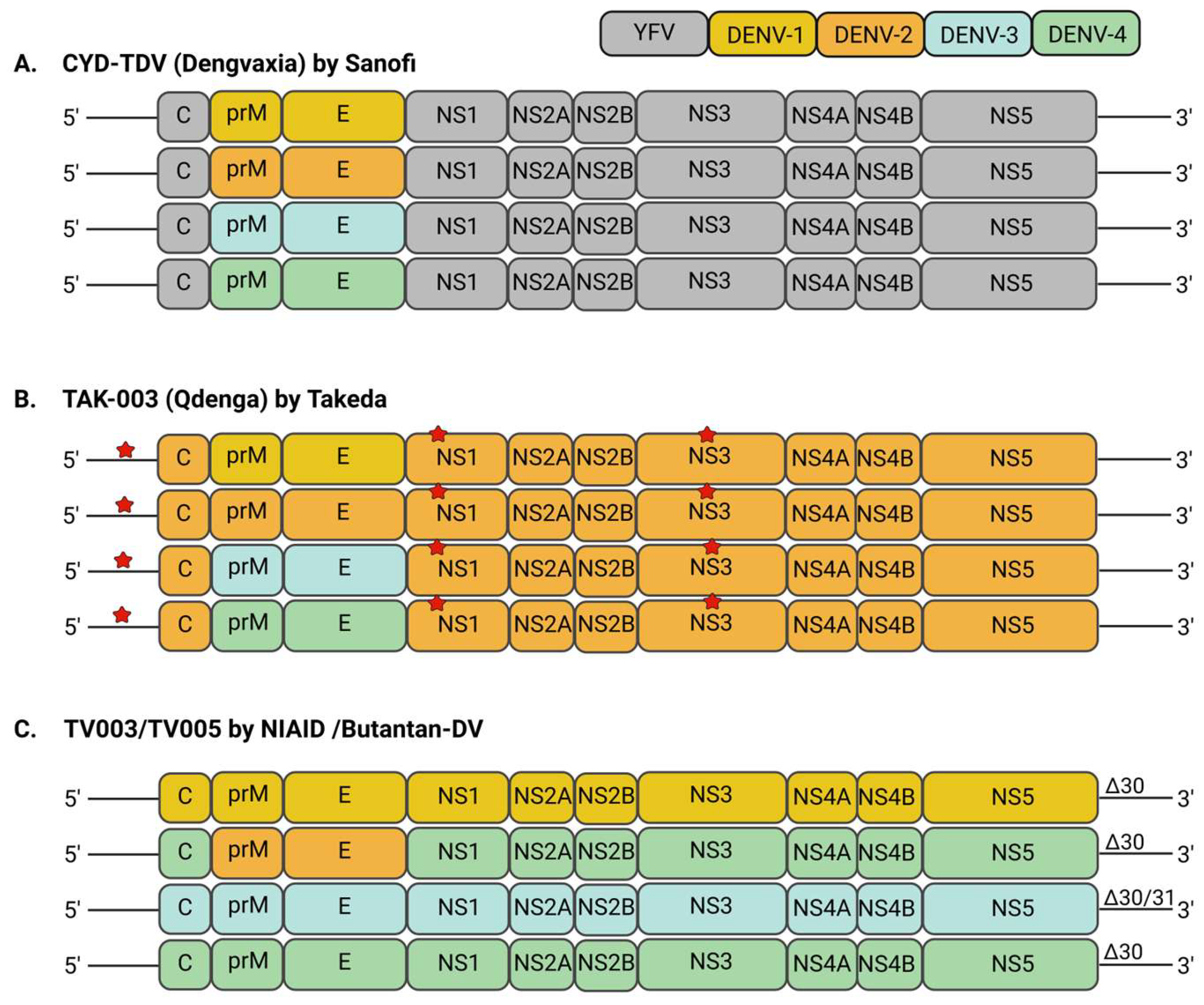 Vaccines 13 00532 g002