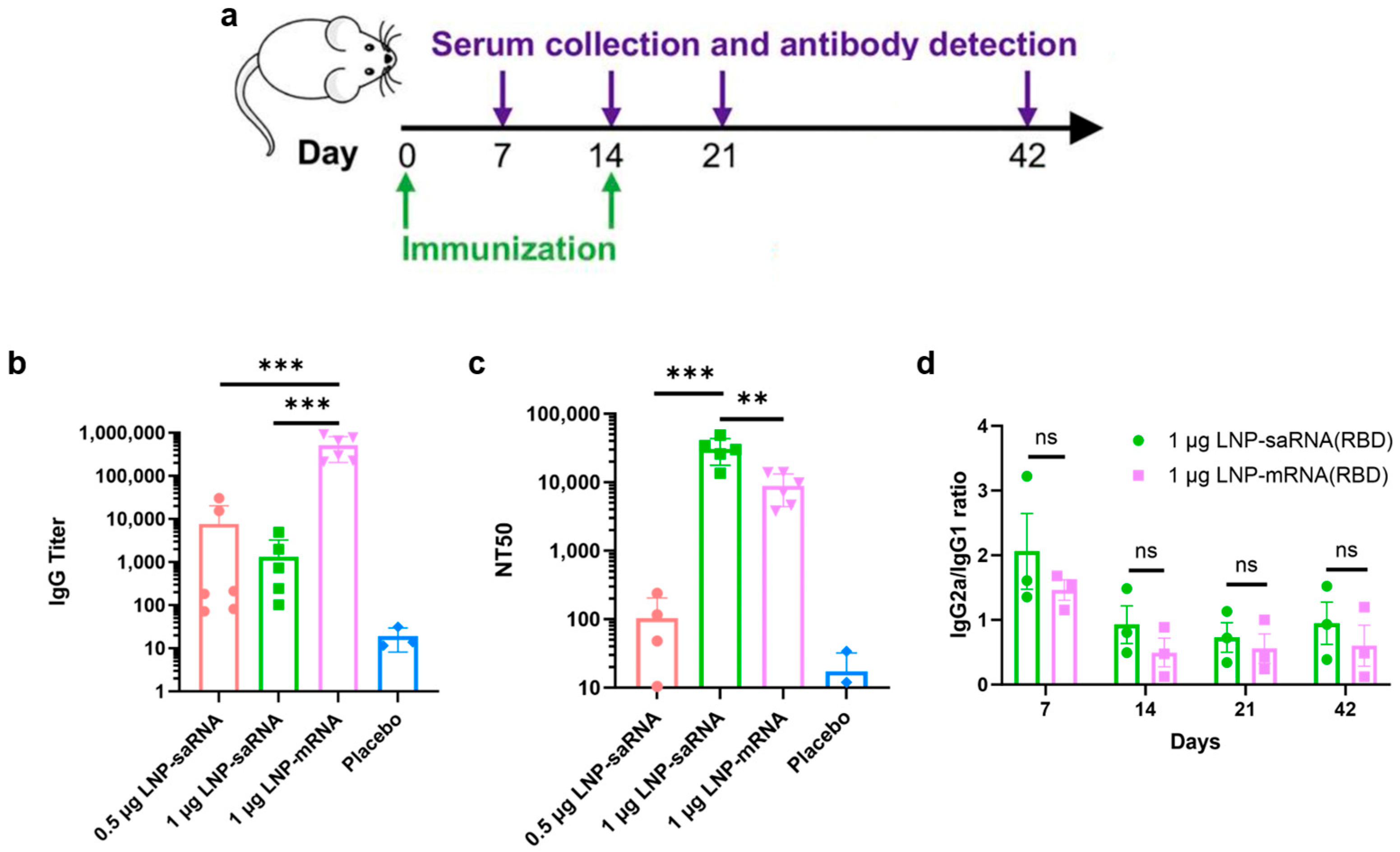 Vaccines 13 00537 g004