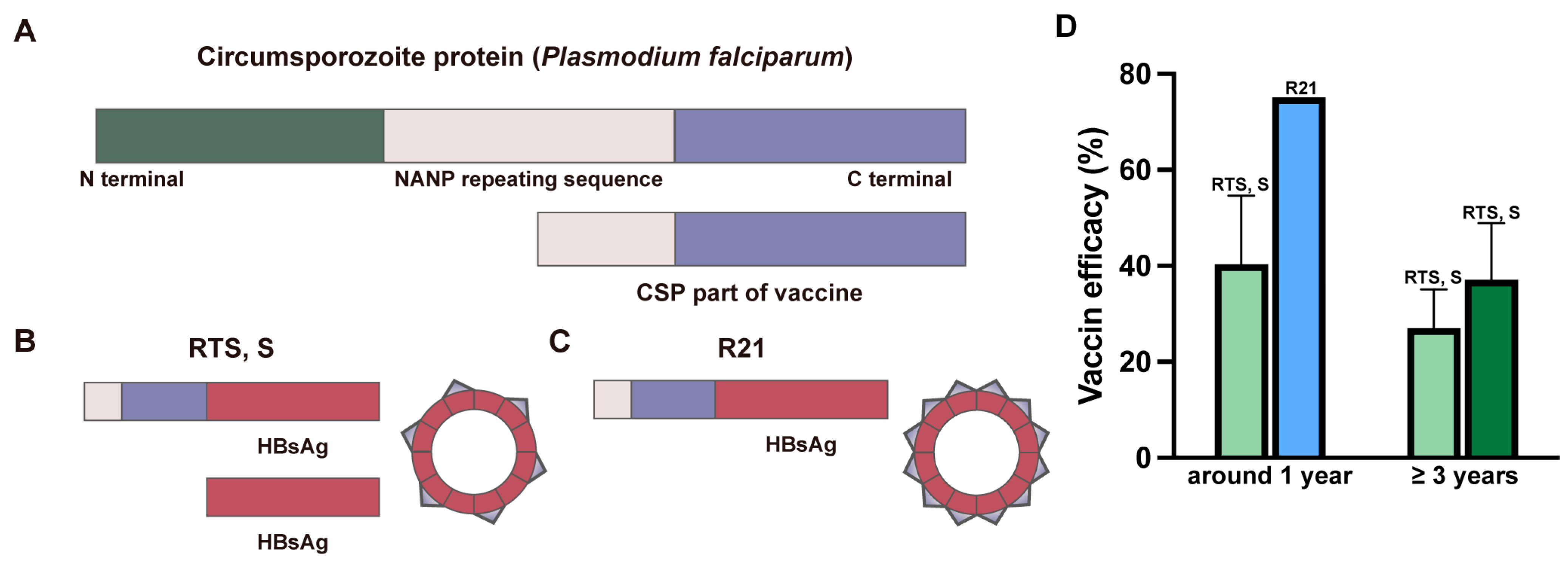 Vaccines 13 00542 g003