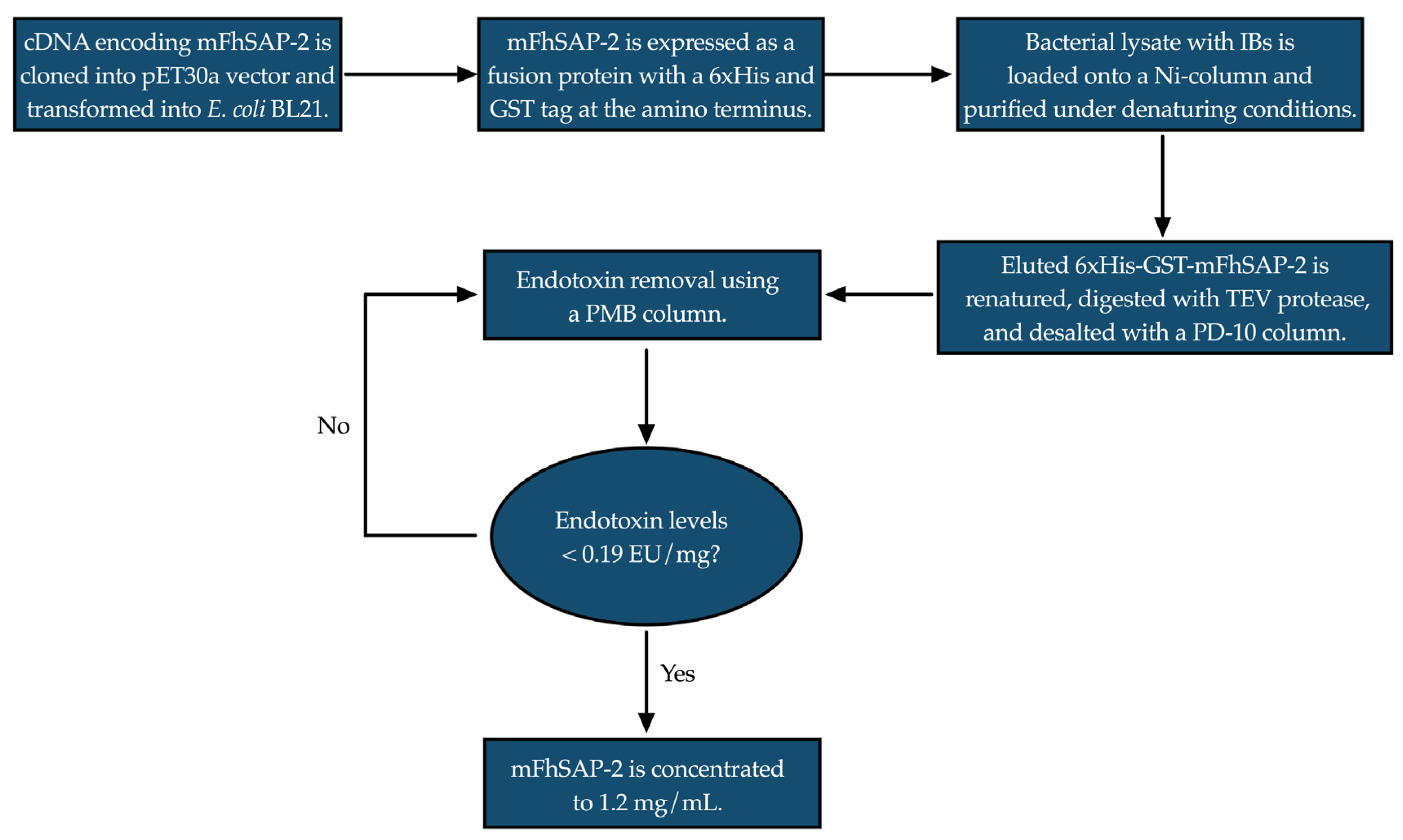Vaccines 13 00545 g002