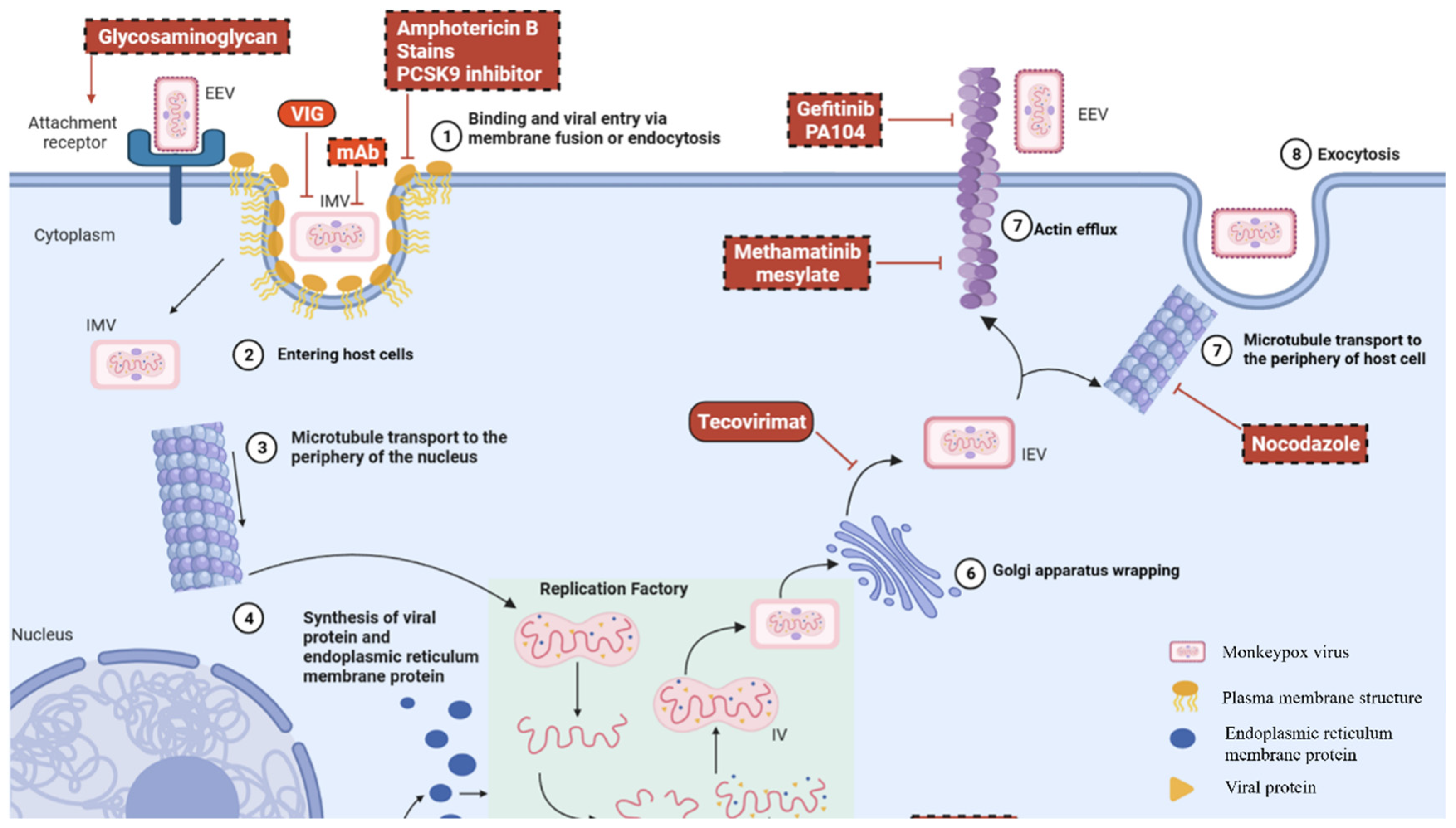 Vaccines 13 00546 g001