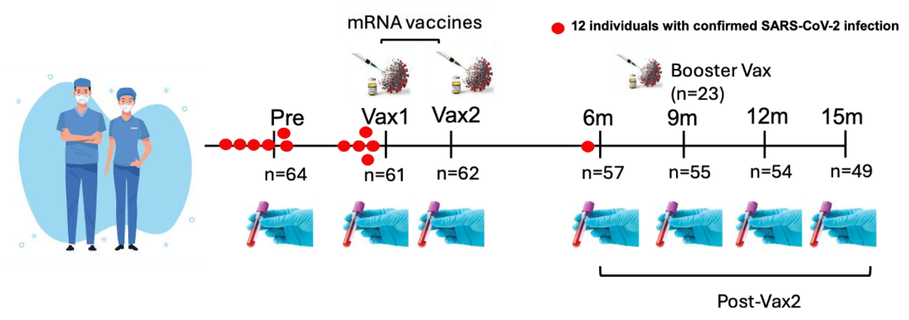 Vaccines 13 00547 g001