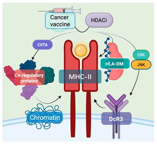 Advances in Promoting the Efficacy of Chimeric Antigen