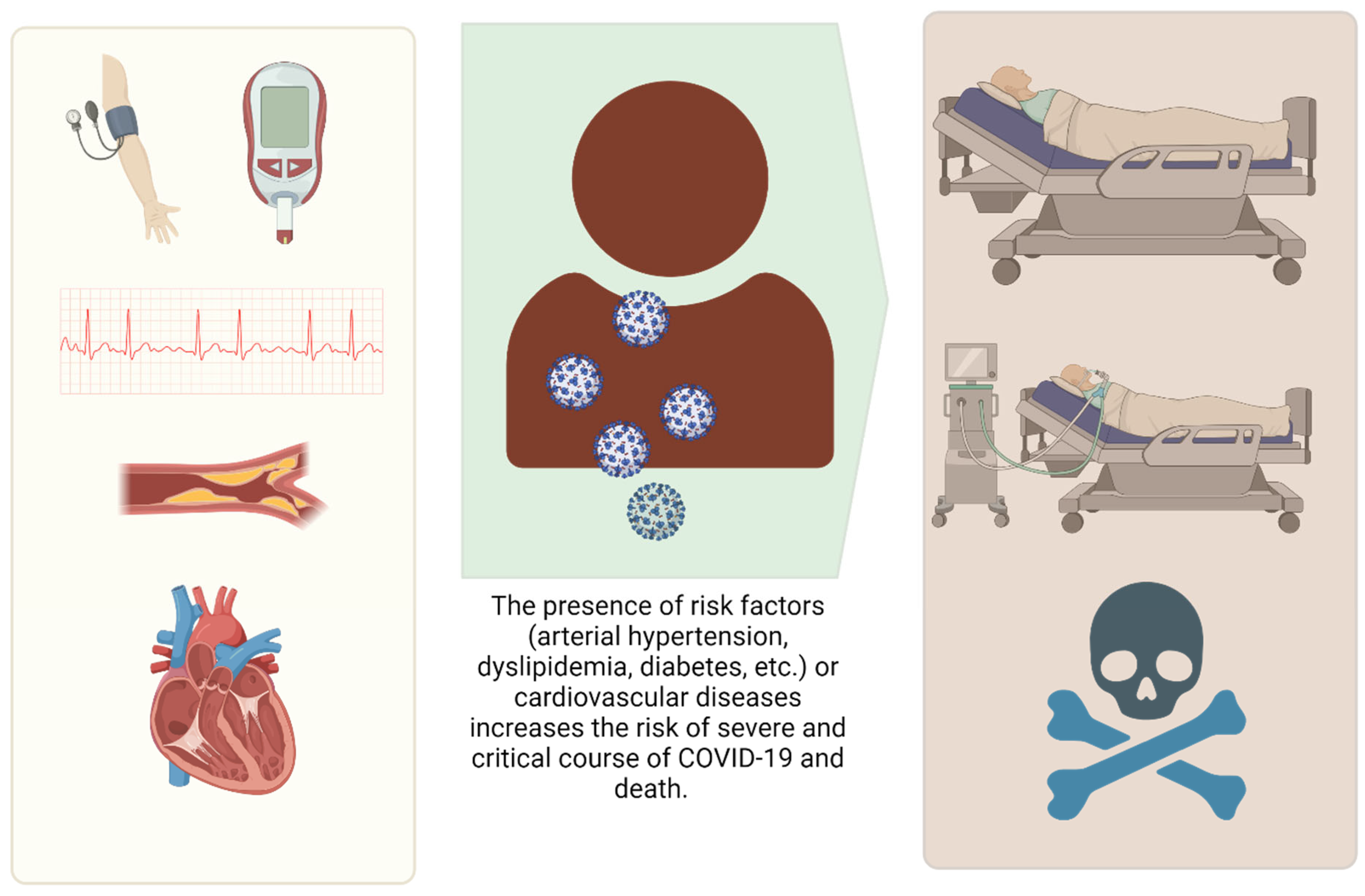 Vaccines 13 00554 g001