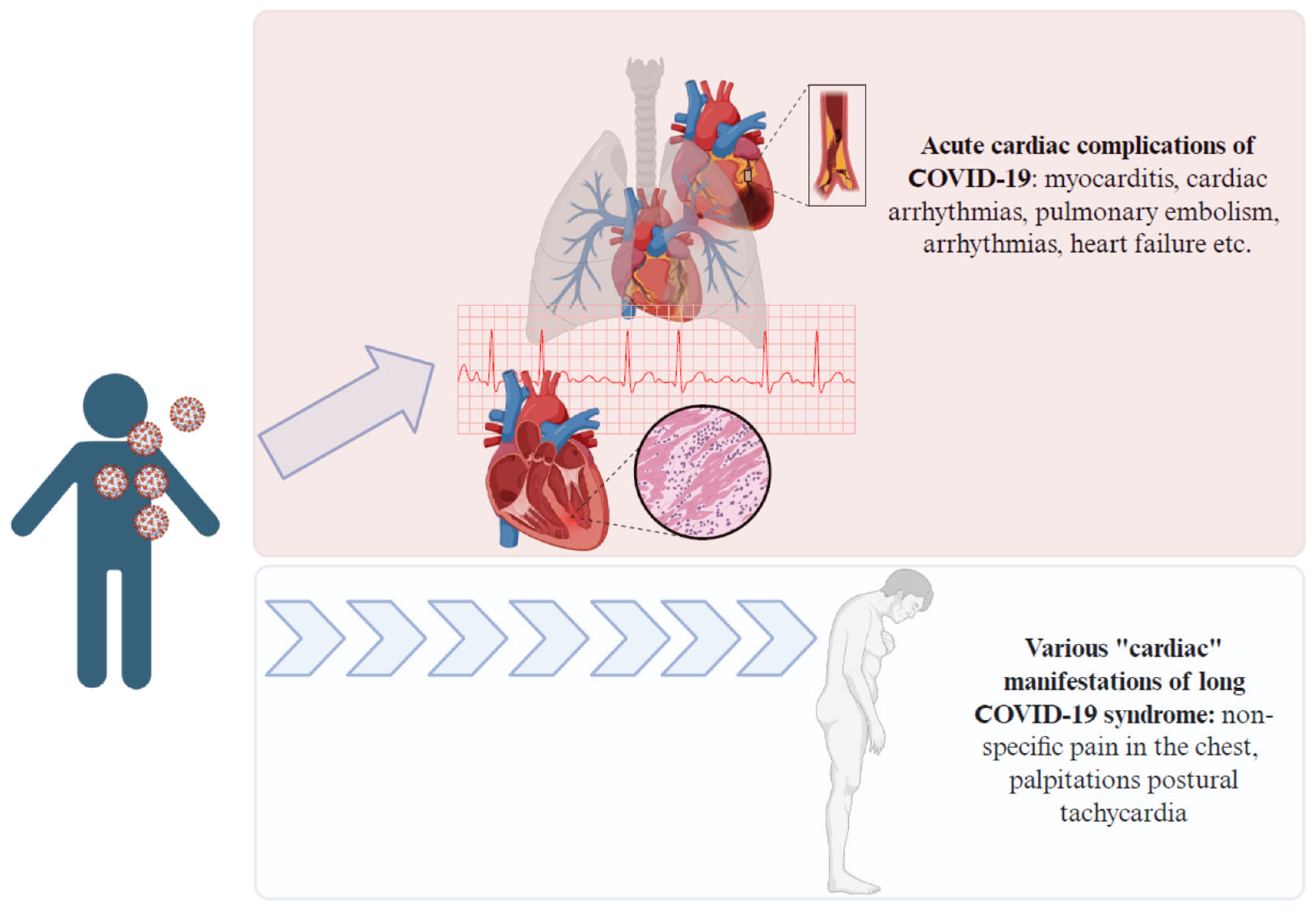 Vaccines 13 00554 g002