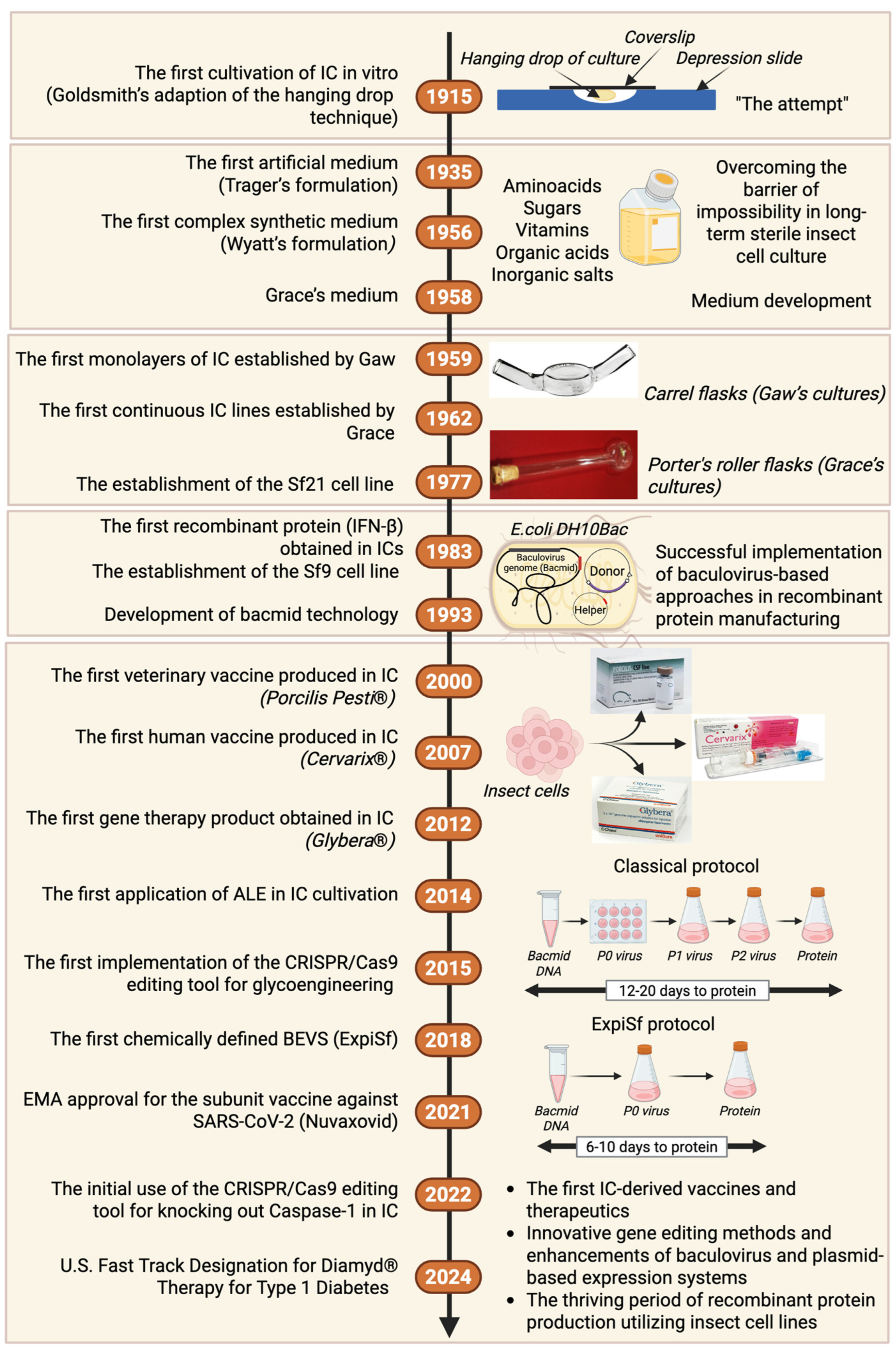 Vaccines 13 00556 g001 Vaccines 13 00556 g001