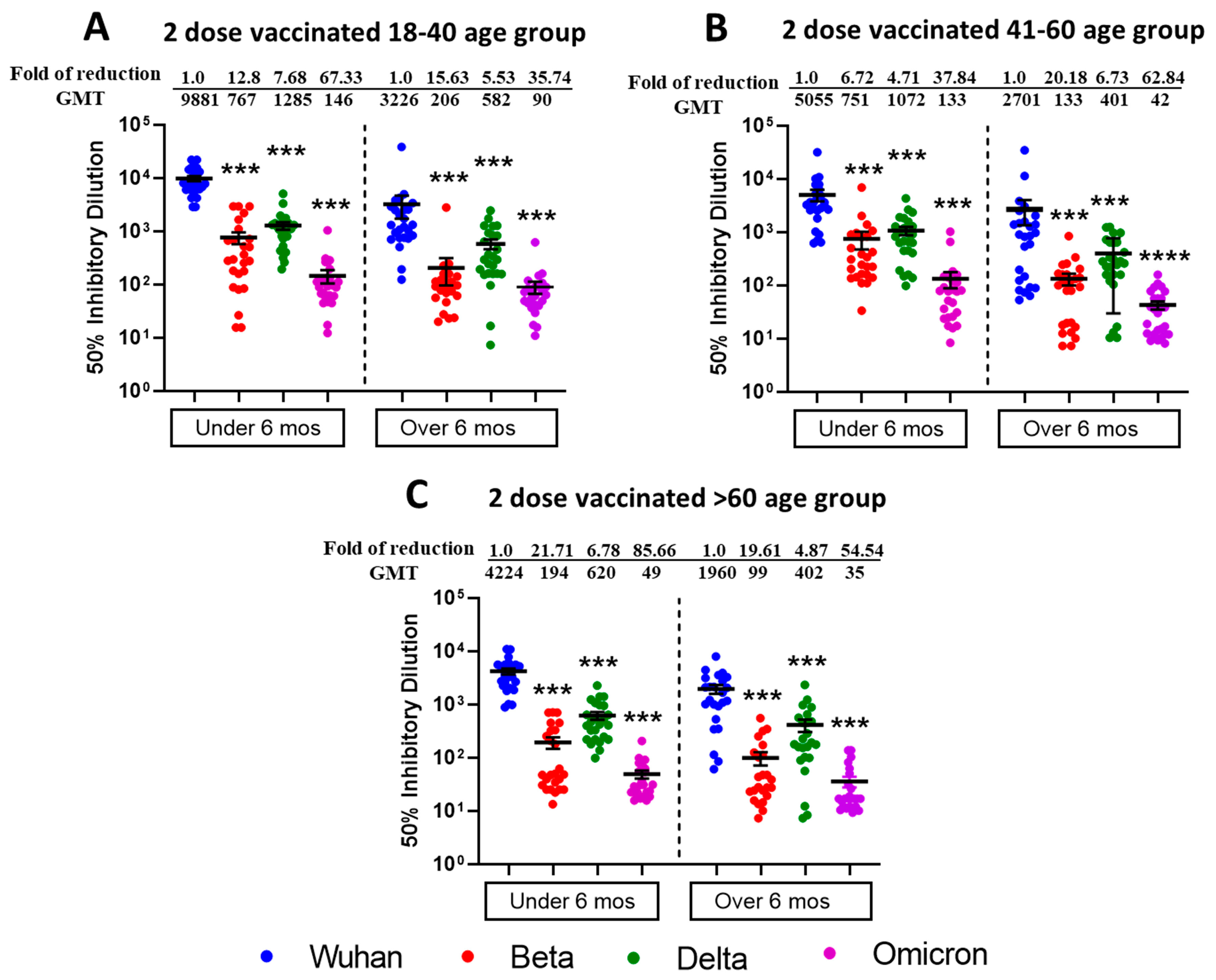 Vaccines 13 00559 g001