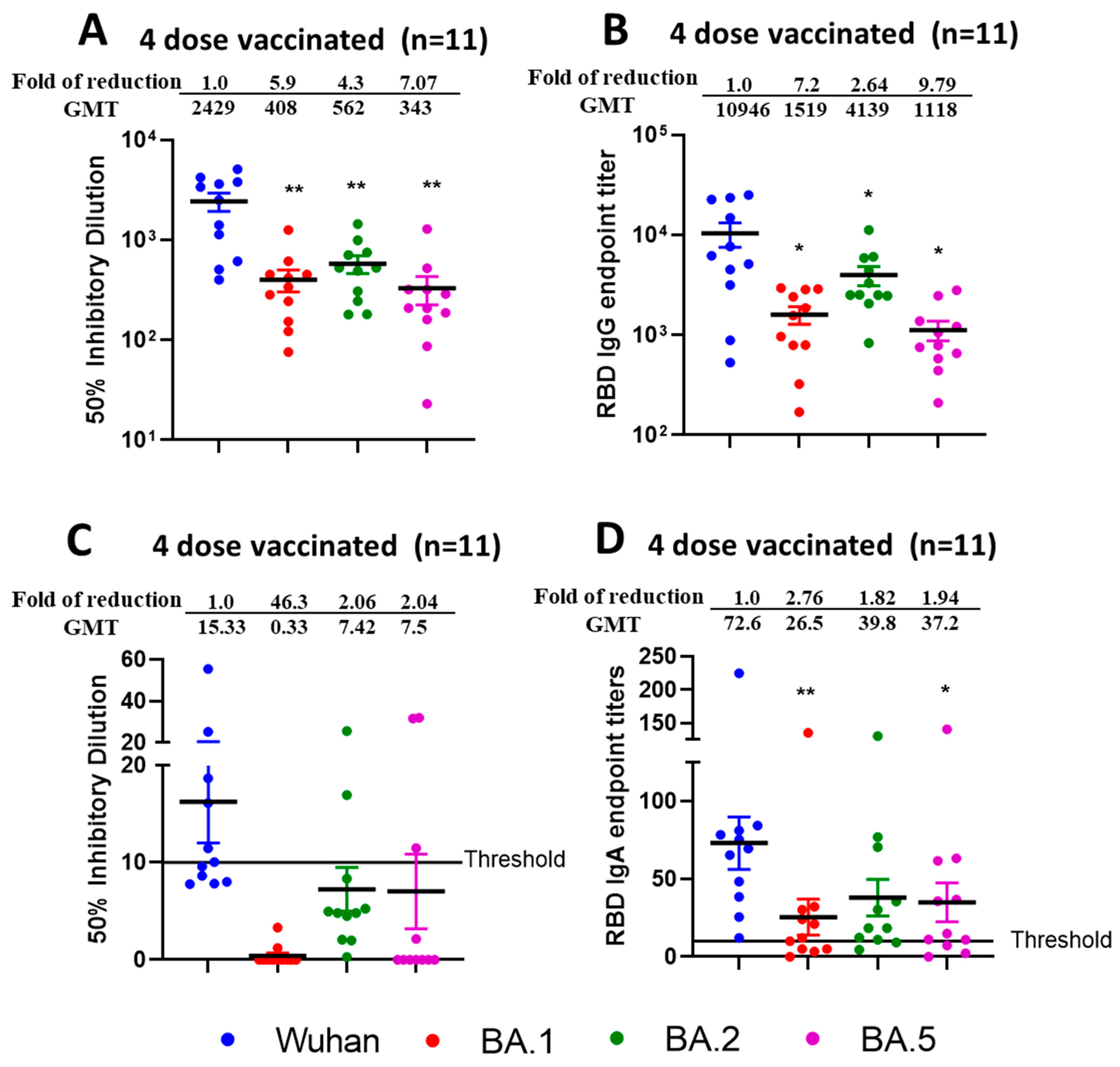 Vaccines 13 00559 g006