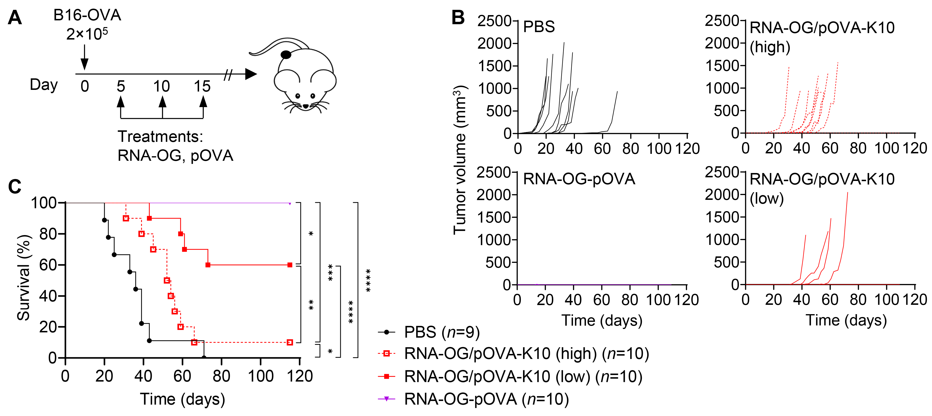 Vaccines 13 00560 g003