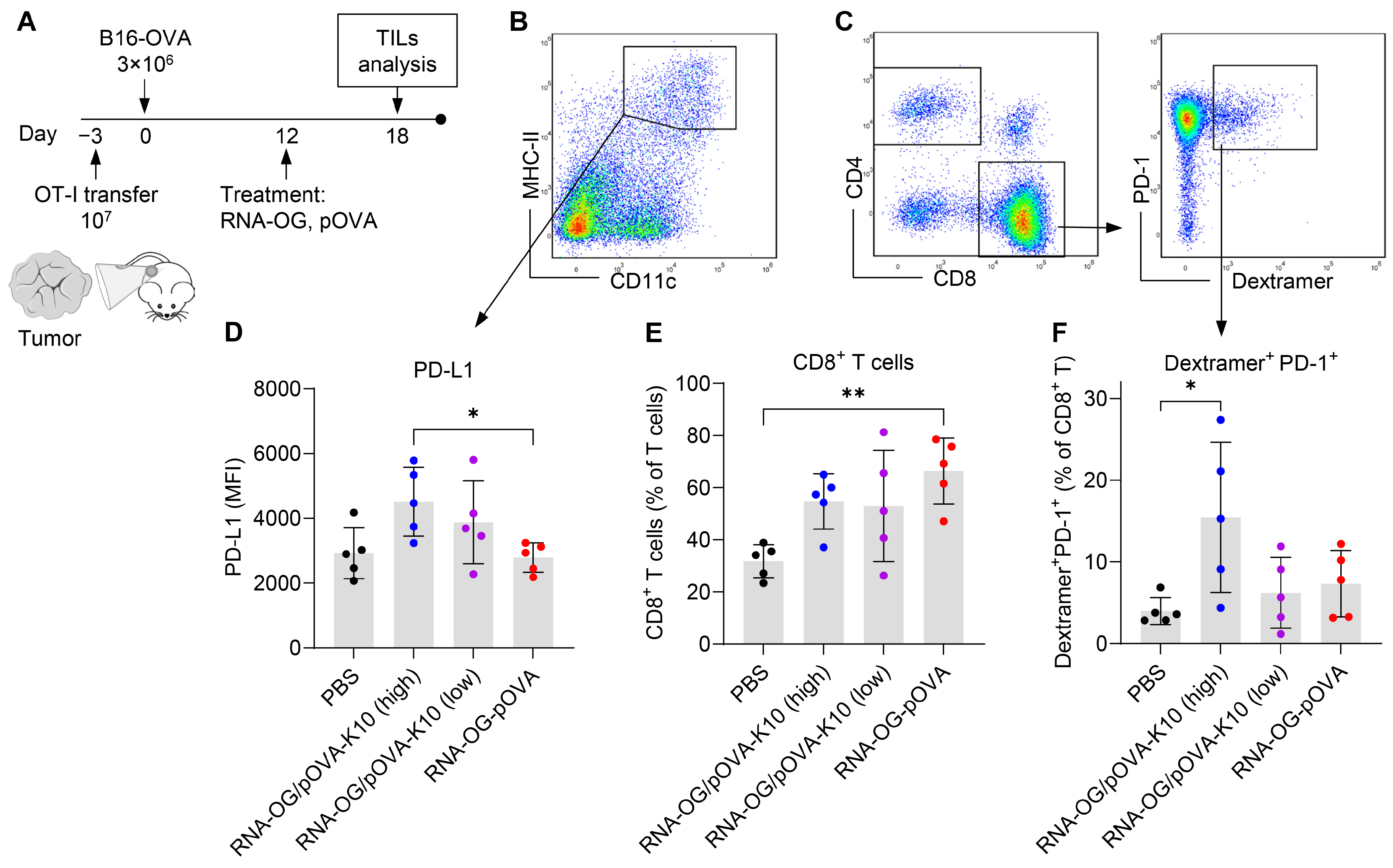 Vaccines 13 00560 g004