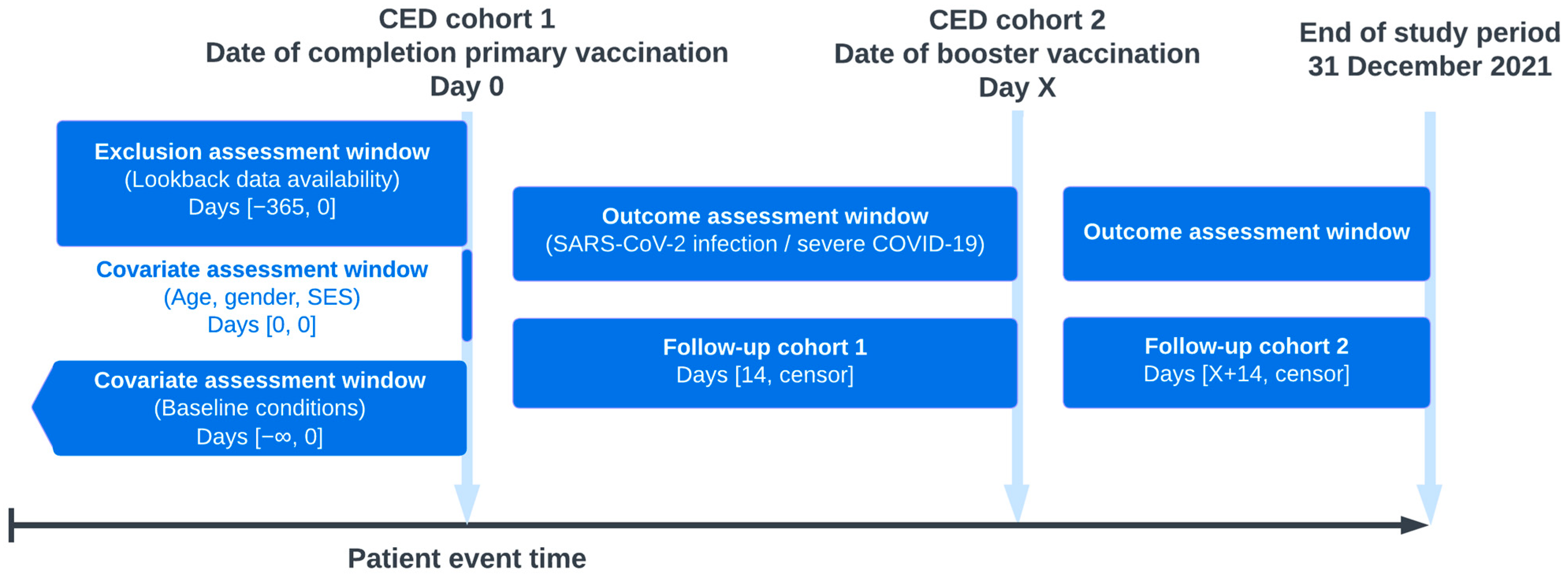 Vaccines 13 00564 g001
