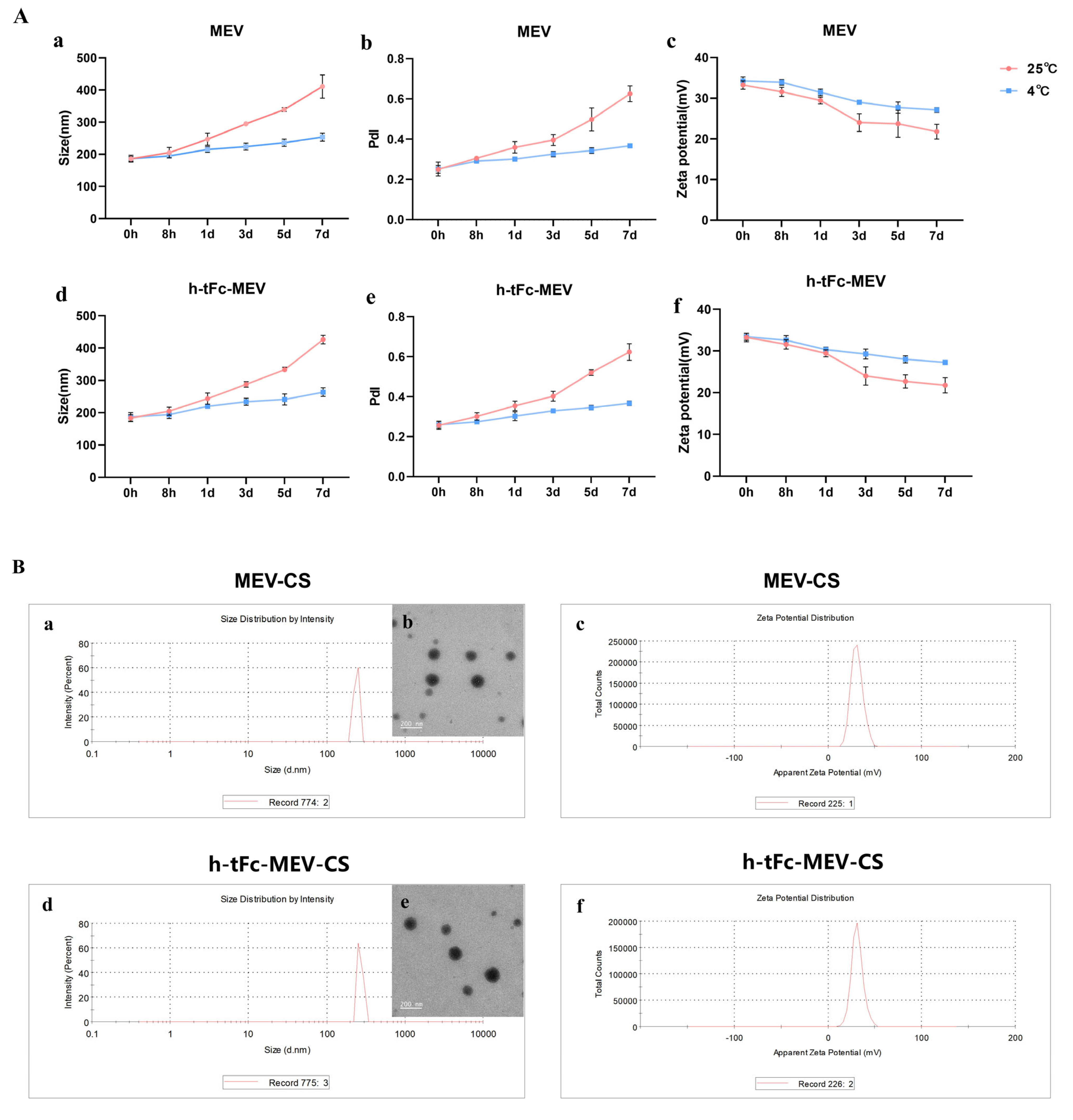 Vaccines 13 00567 g004