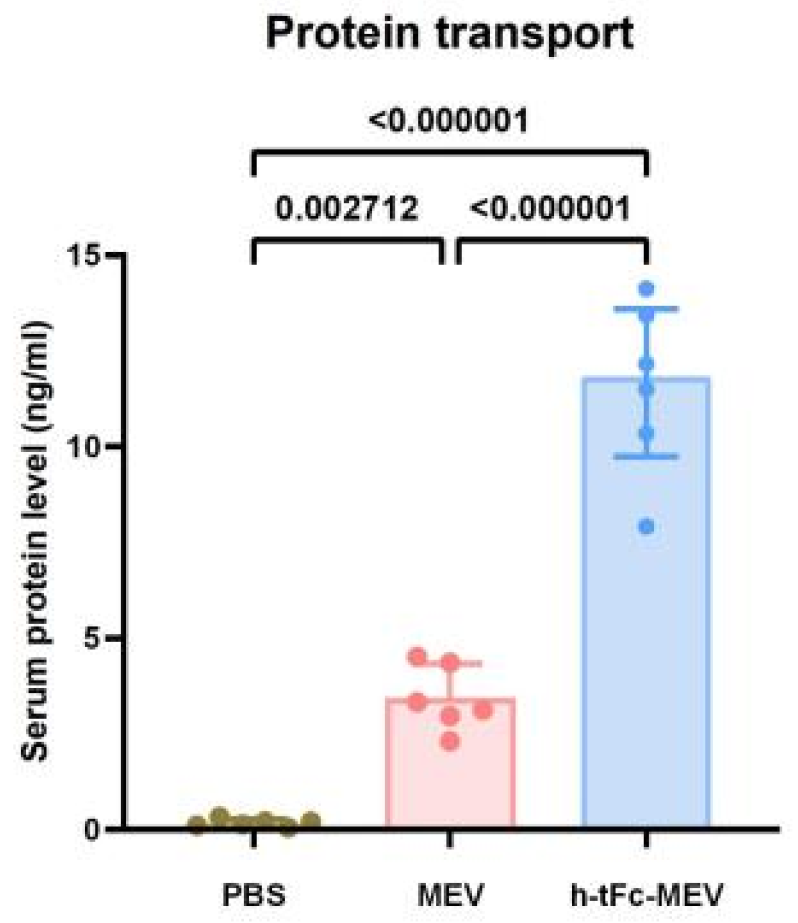 Vaccines 13 00567 g005