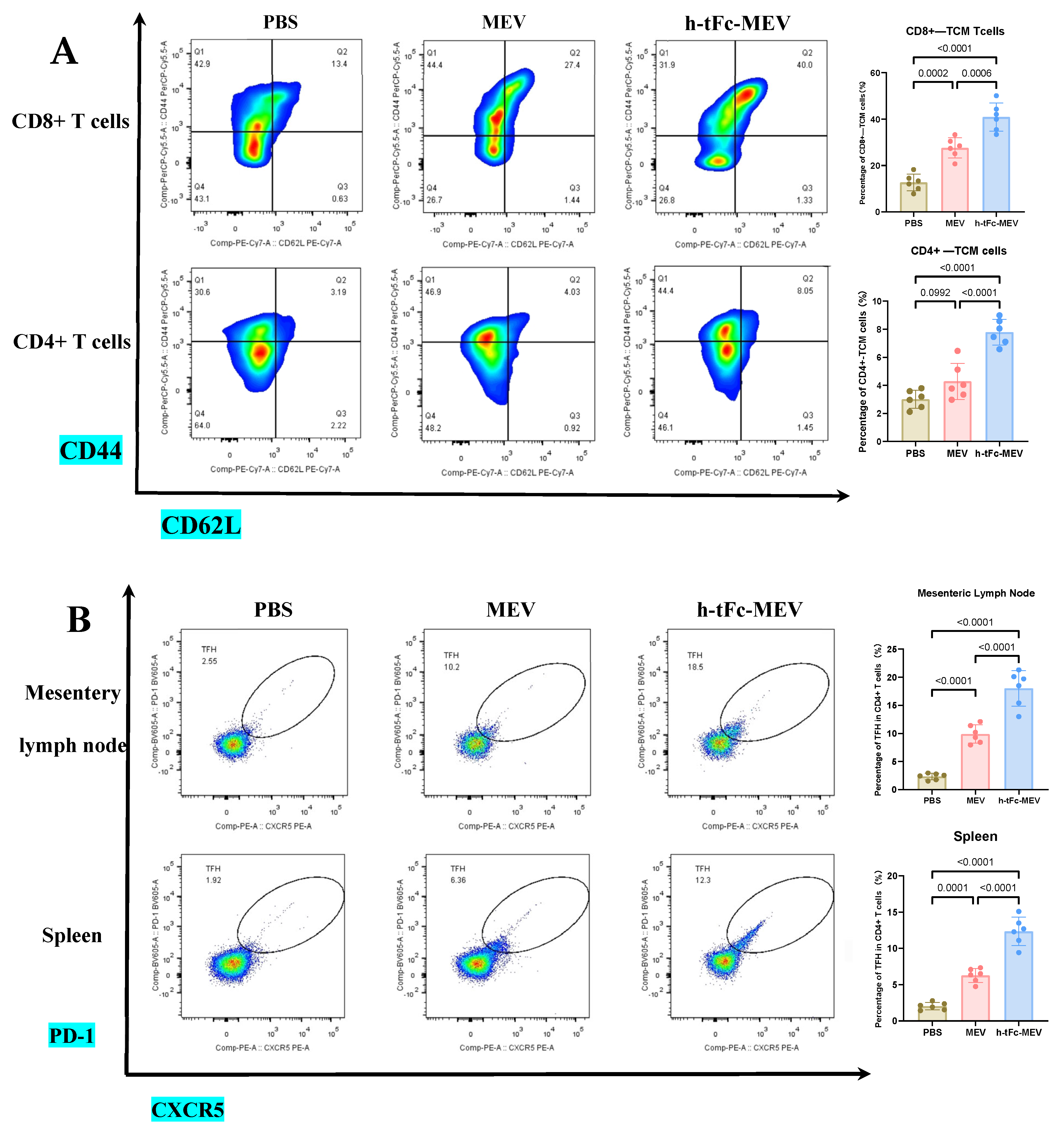 Vaccines 13 00567 g009a