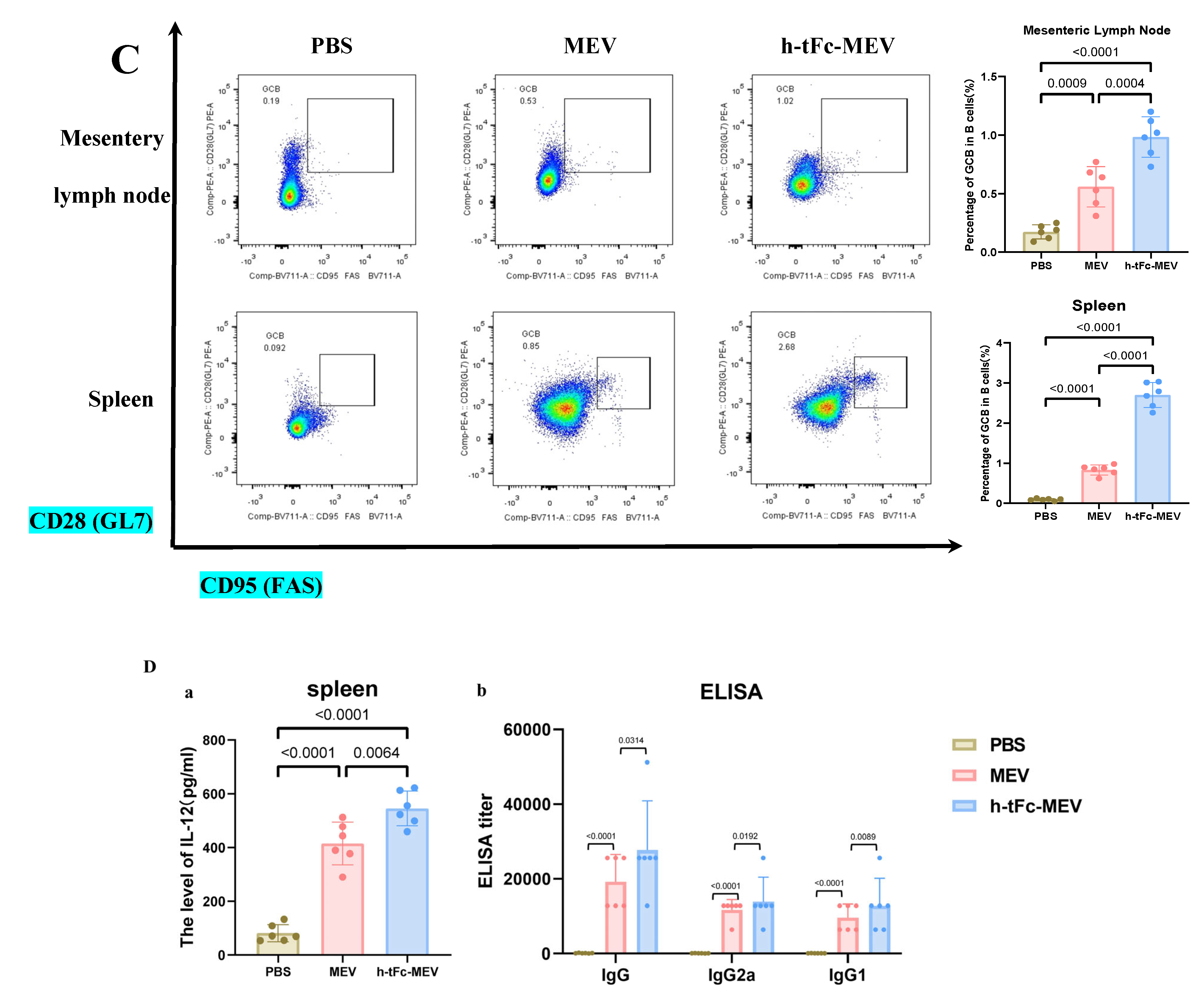 Vaccines 13 00567 g009b