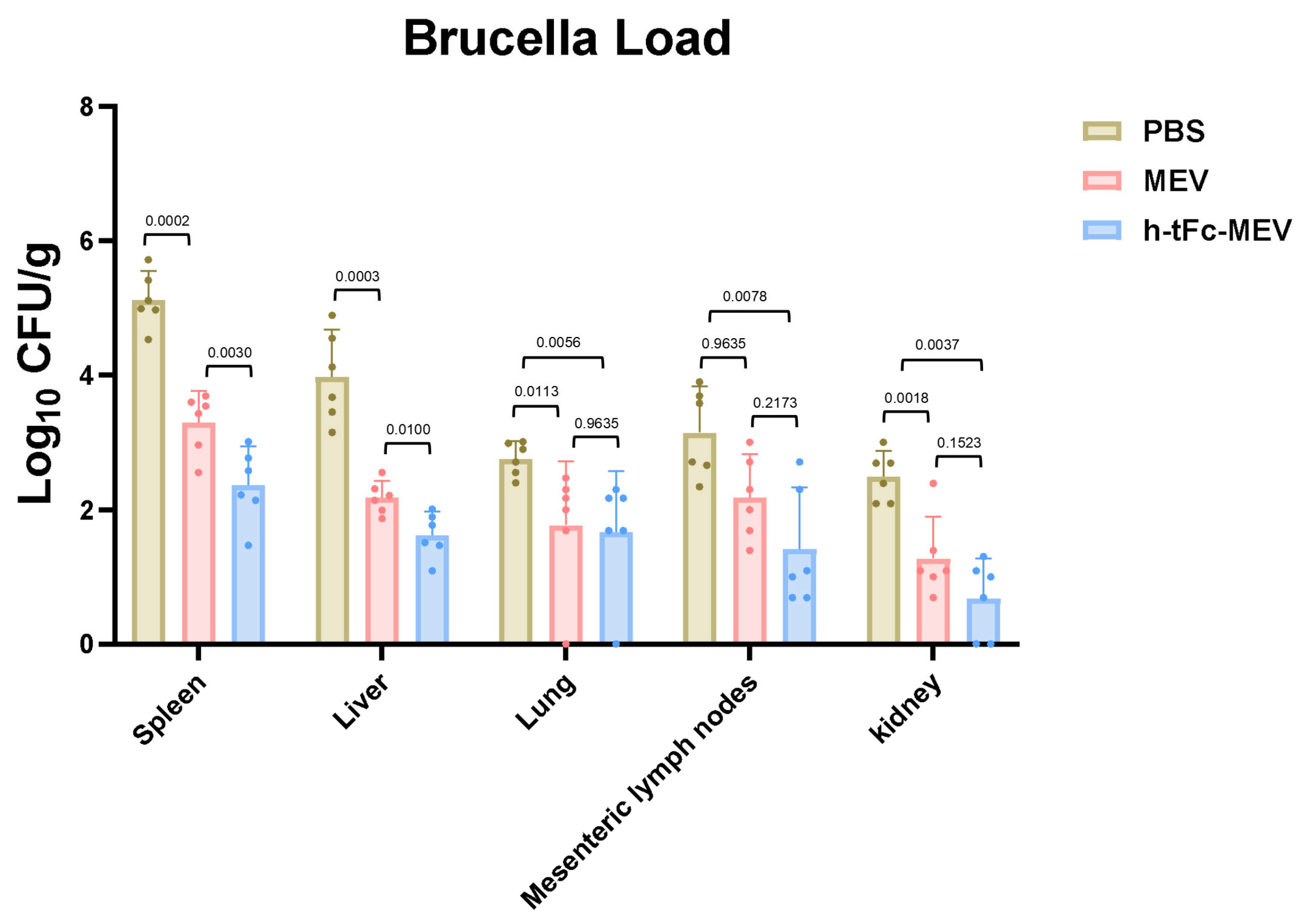 Vaccines 13 00567 g011