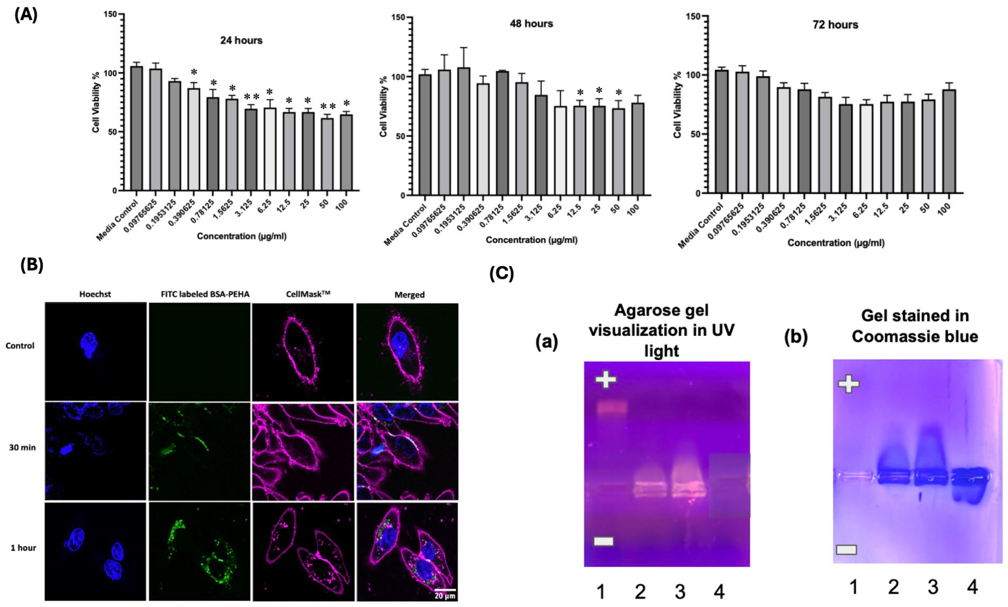 Vaccines 13 00568 g002 Vaccines 13 00568 g002