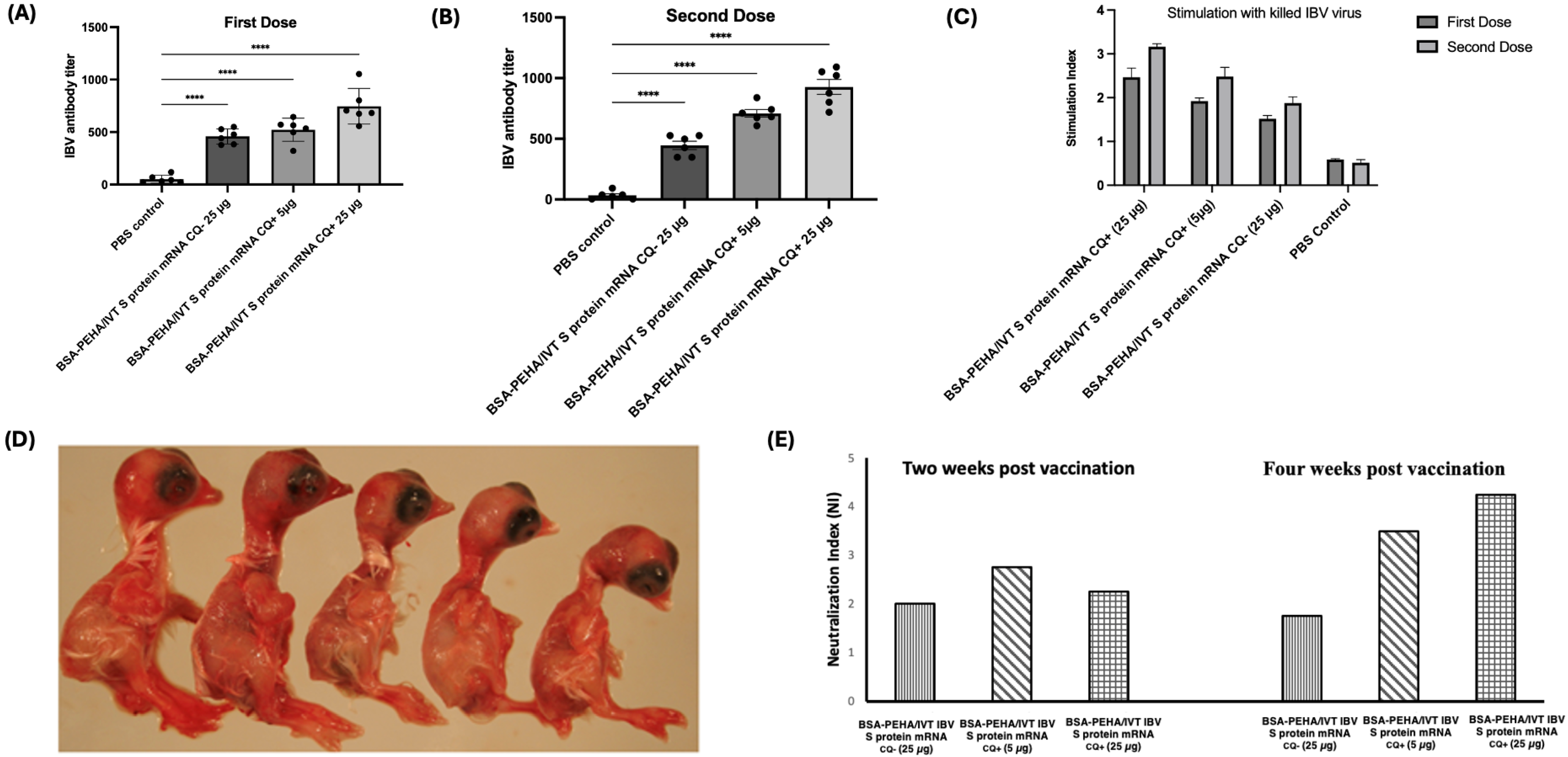 Vaccines 13 00568 g004 Vaccines 13 00568 g004