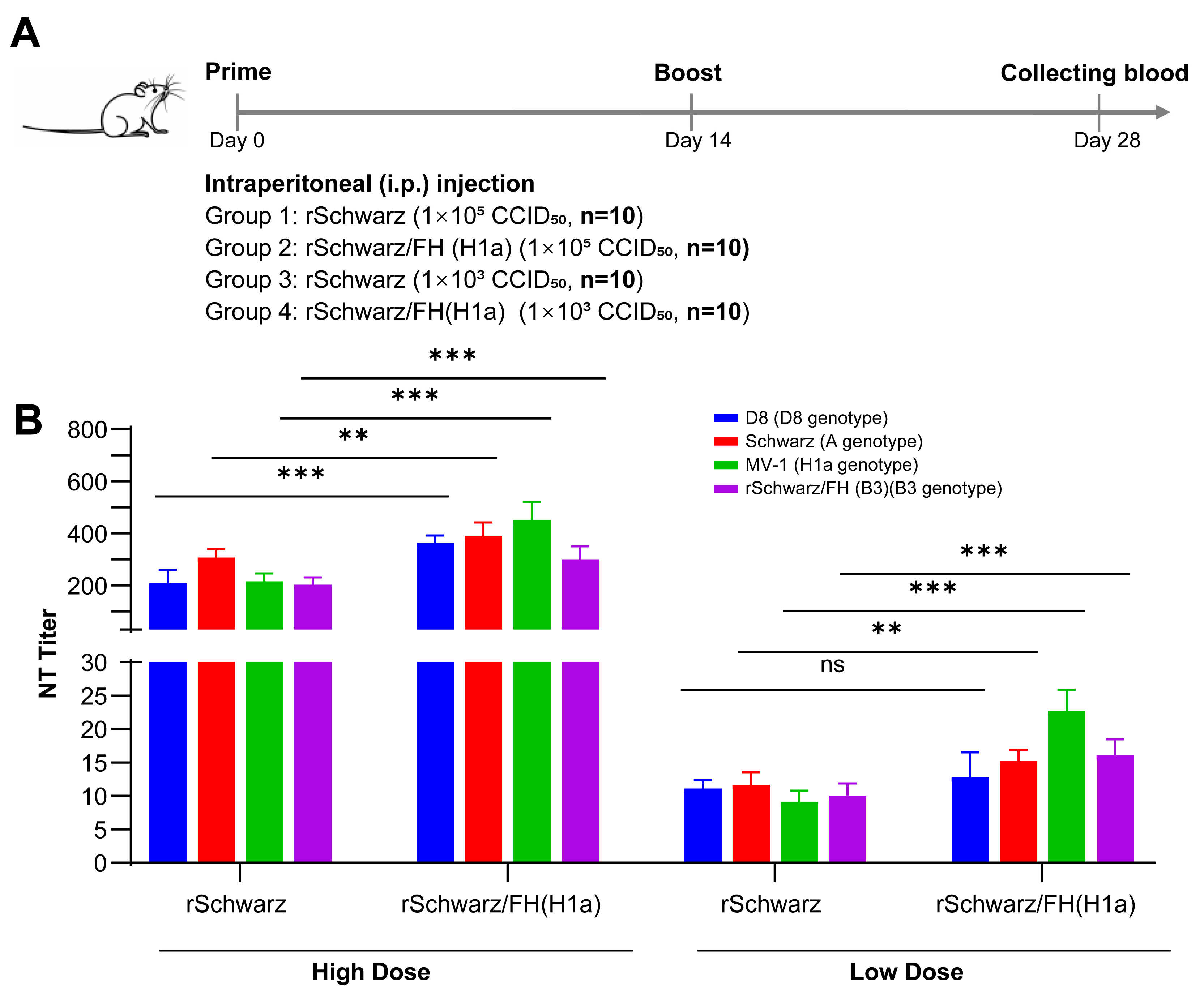 Vaccines 13 00571 g004