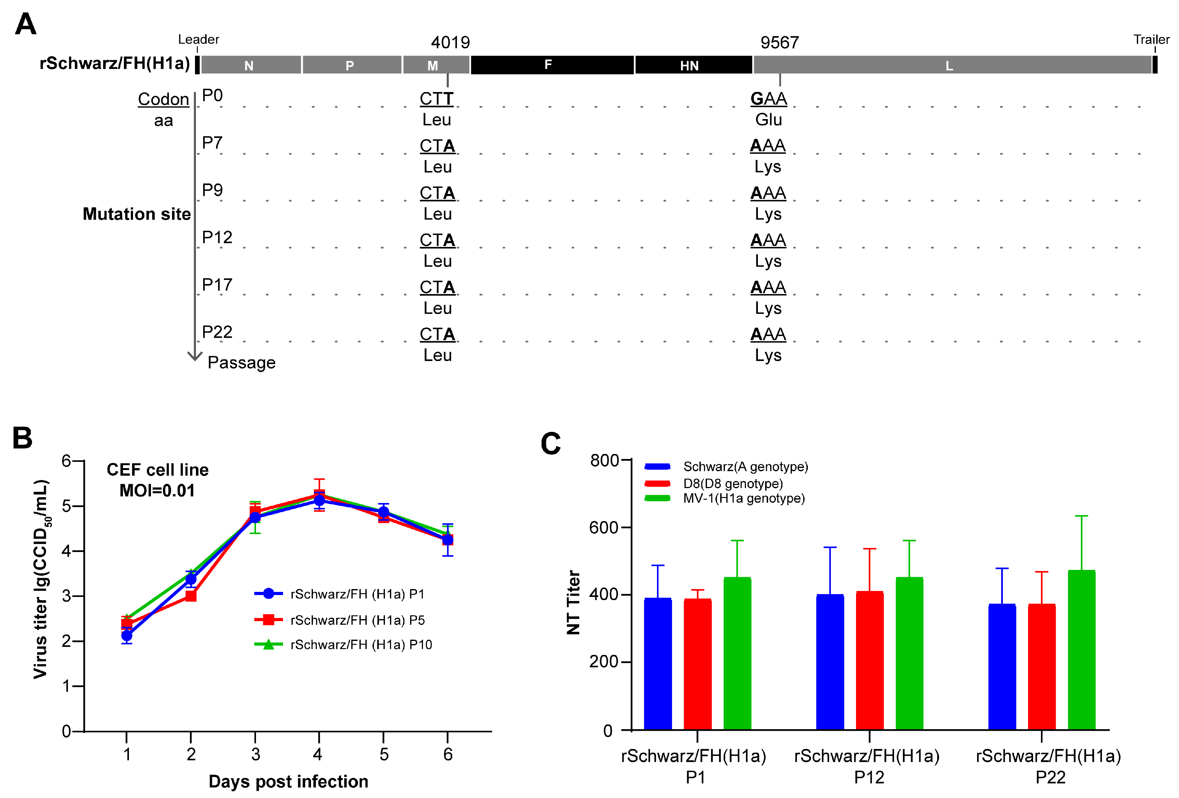 Vaccines 13 00571 g005