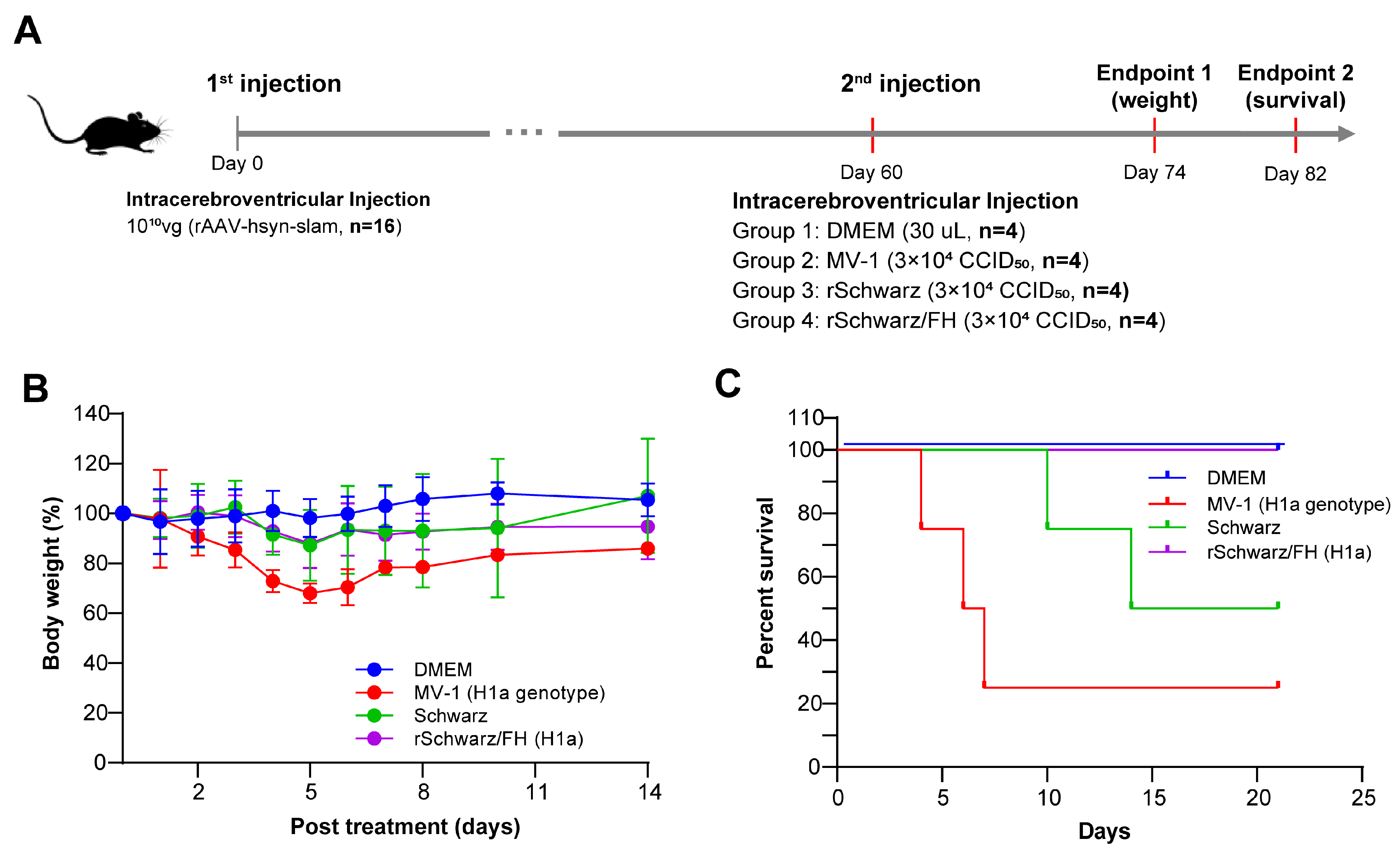 Vaccines 13 00571 g006