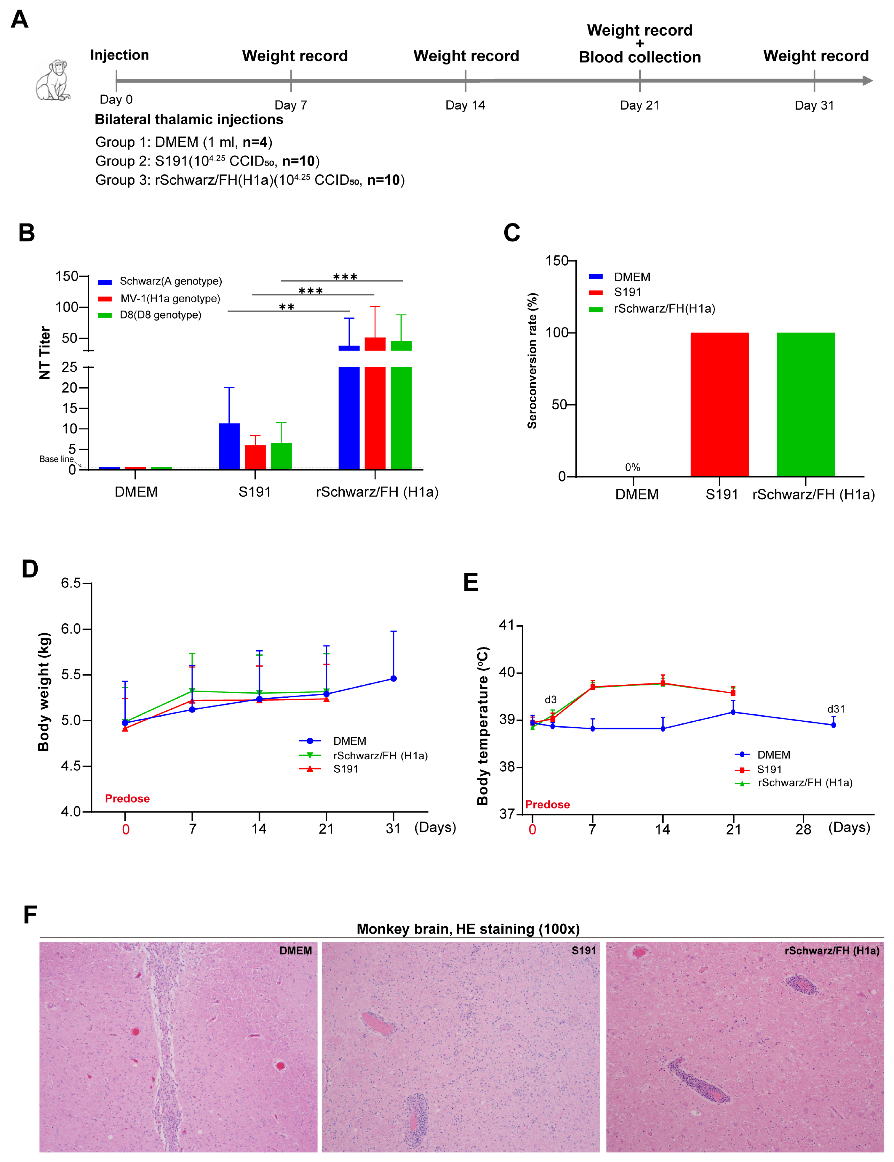 Vaccines 13 00571 g007
