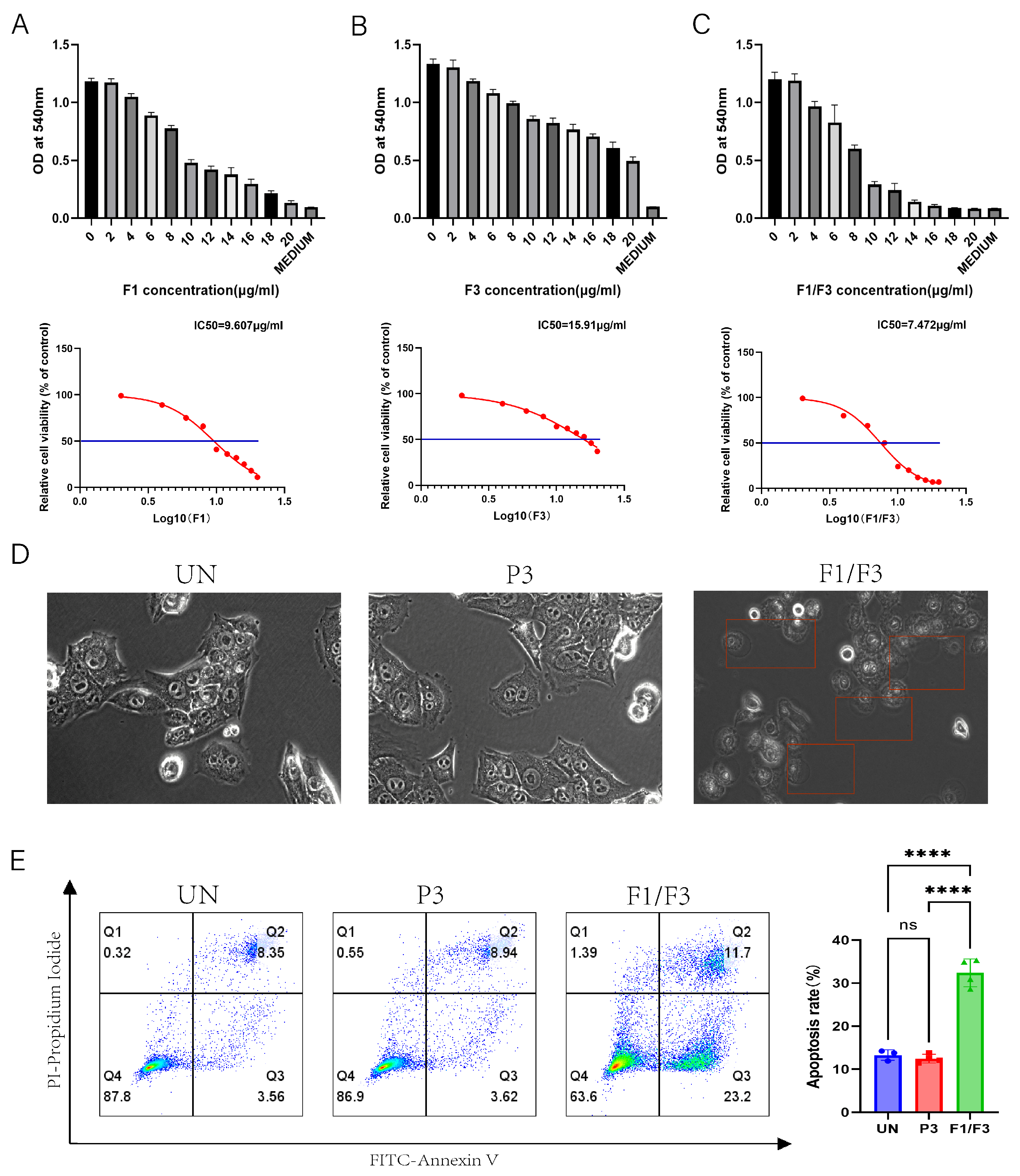 Vaccines 13 00577 g001