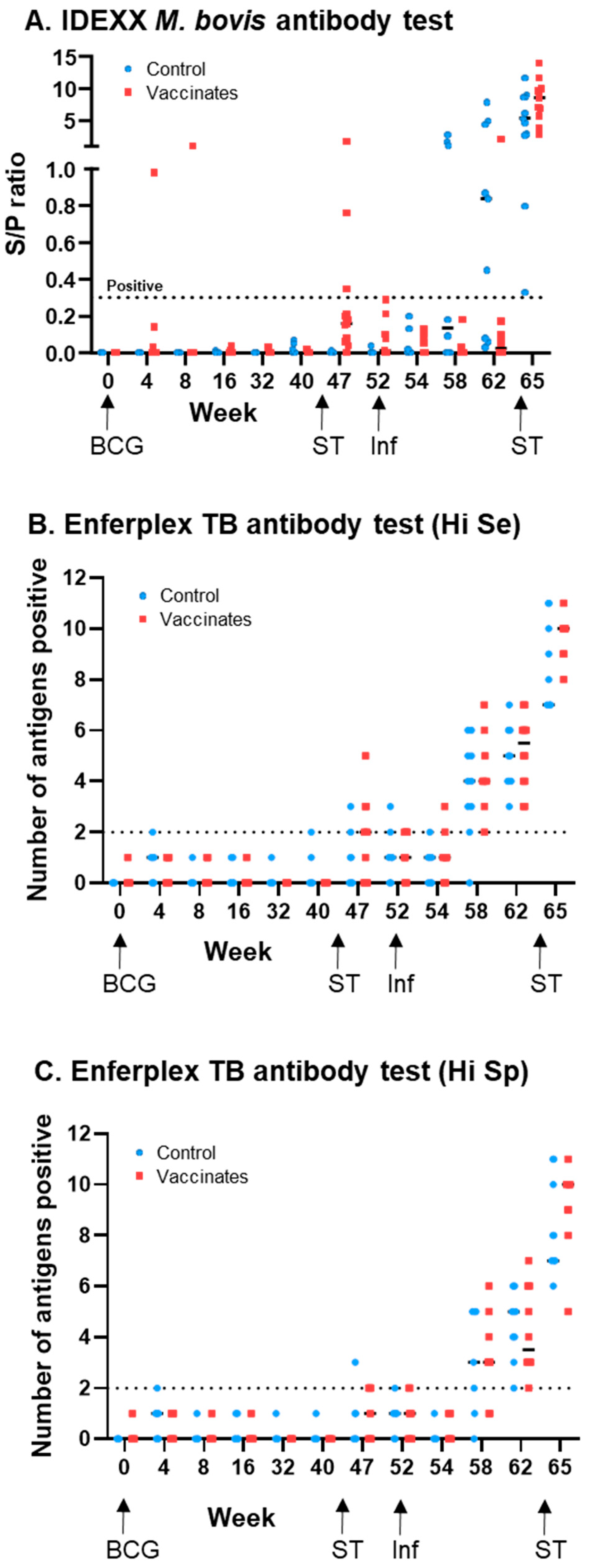 Vaccines 13 00578 g001