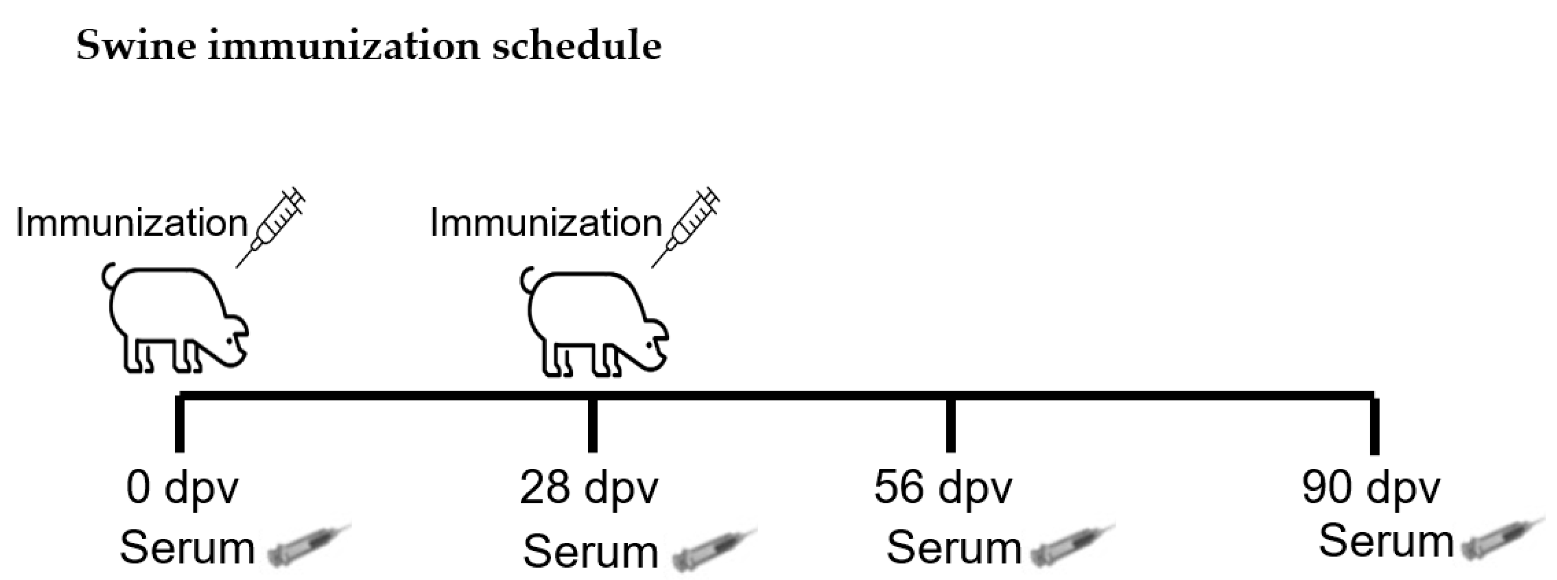 Vaccines 13 00581 g009