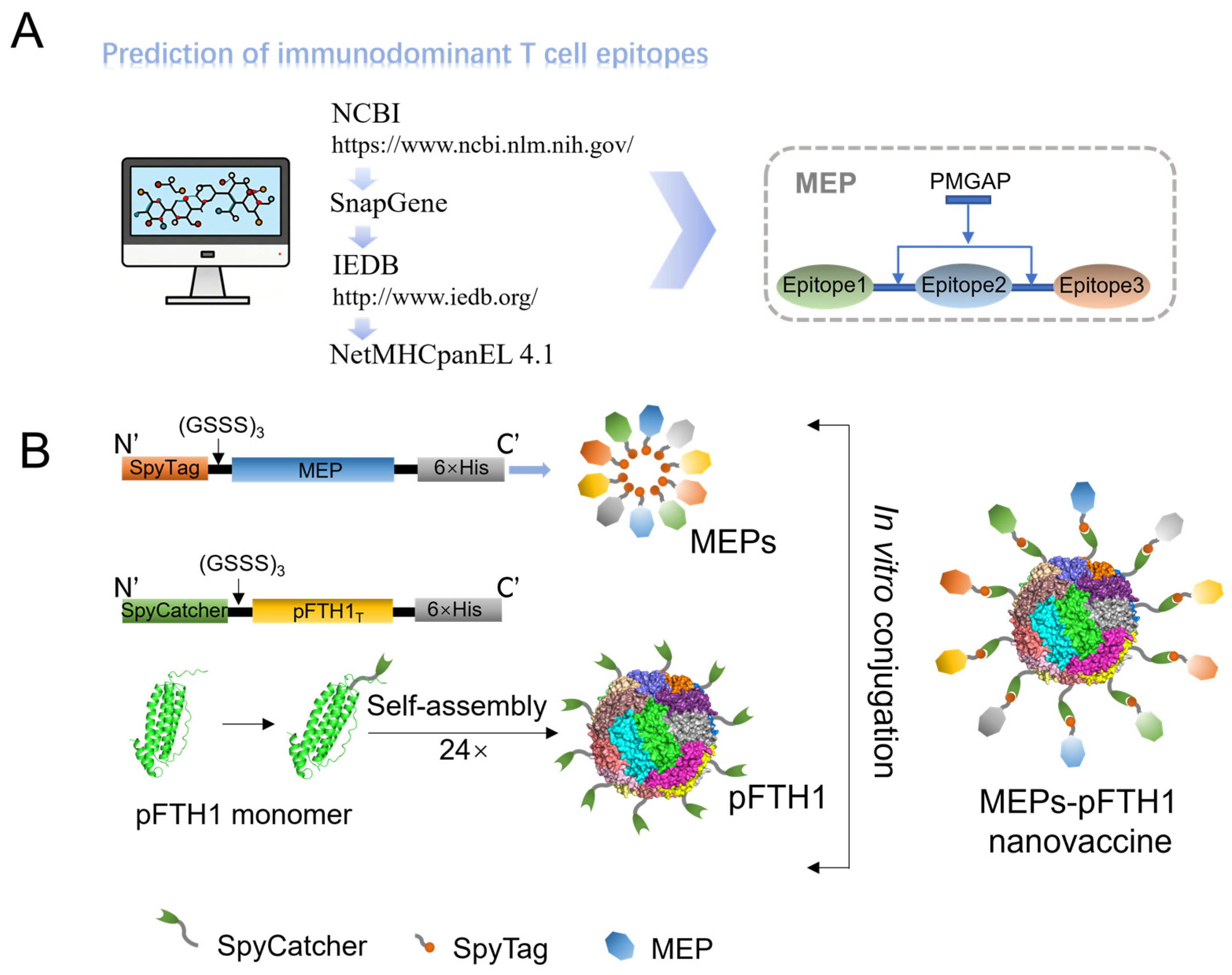 Vaccines 13 00585 g001