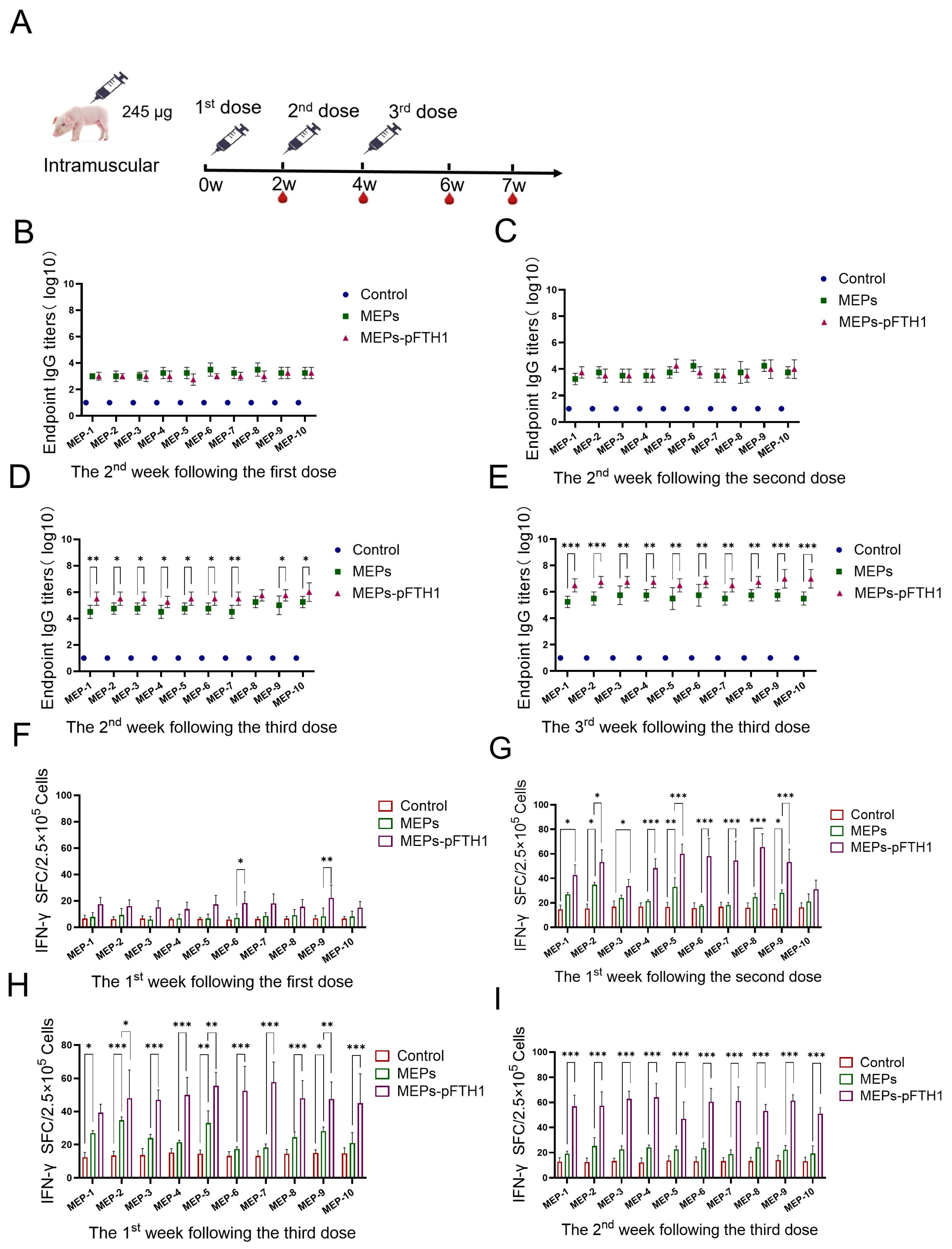 Vaccines 13 00585 g006