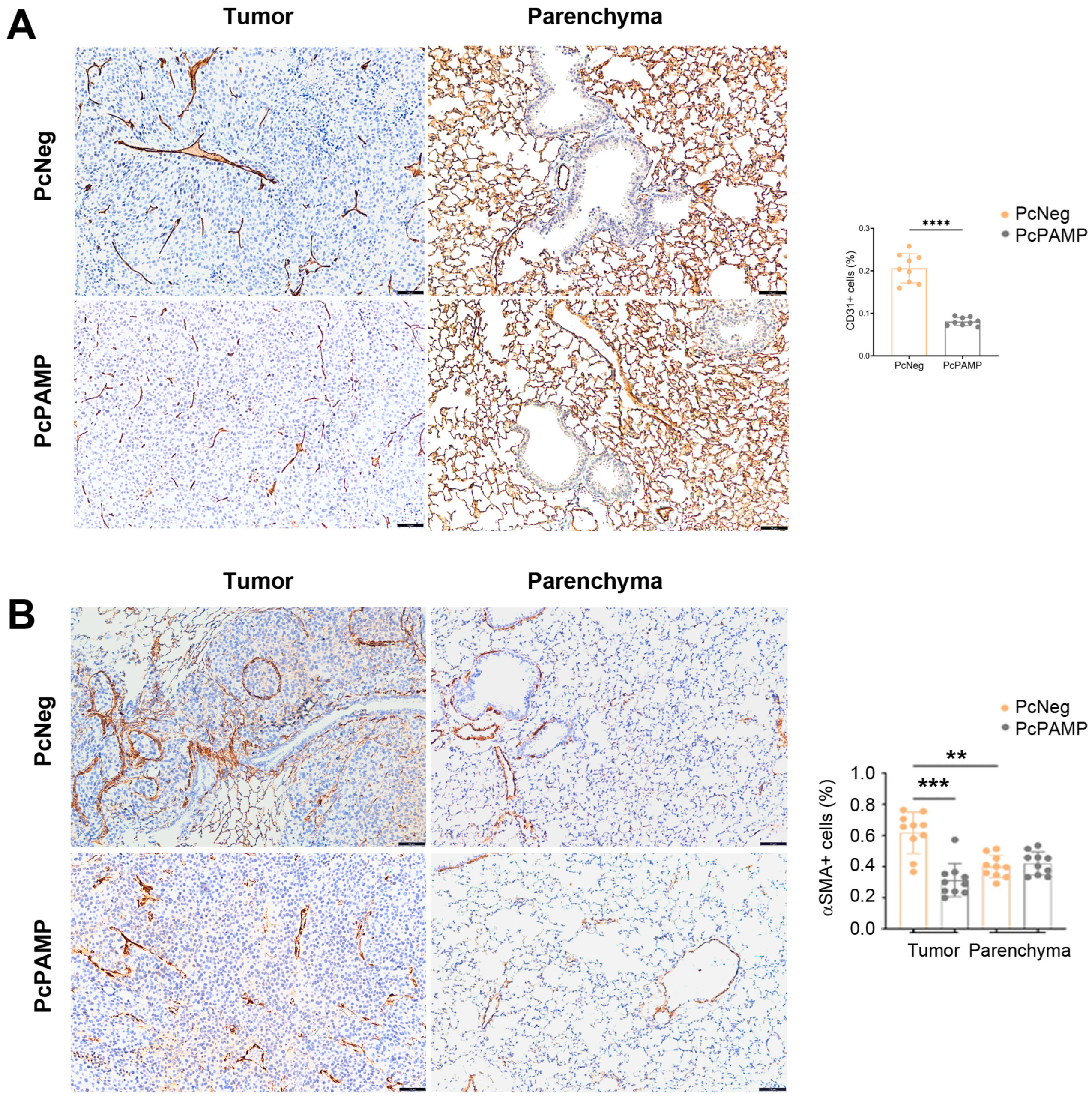 Vaccines 13 00586 g004 Vaccines 13 00586 g004