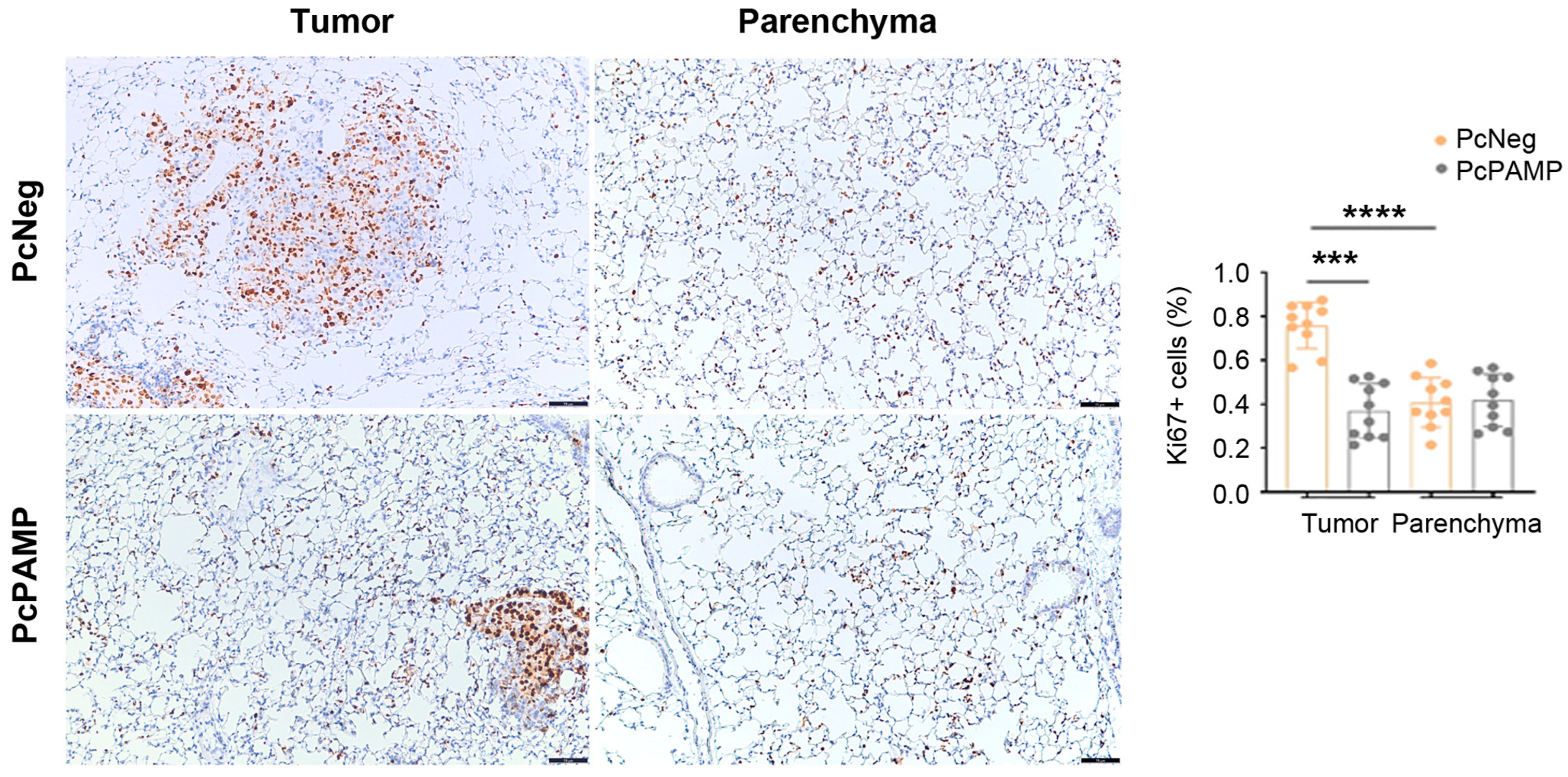 Vaccines 13 00586 g005 Vaccines 13 00586 g005