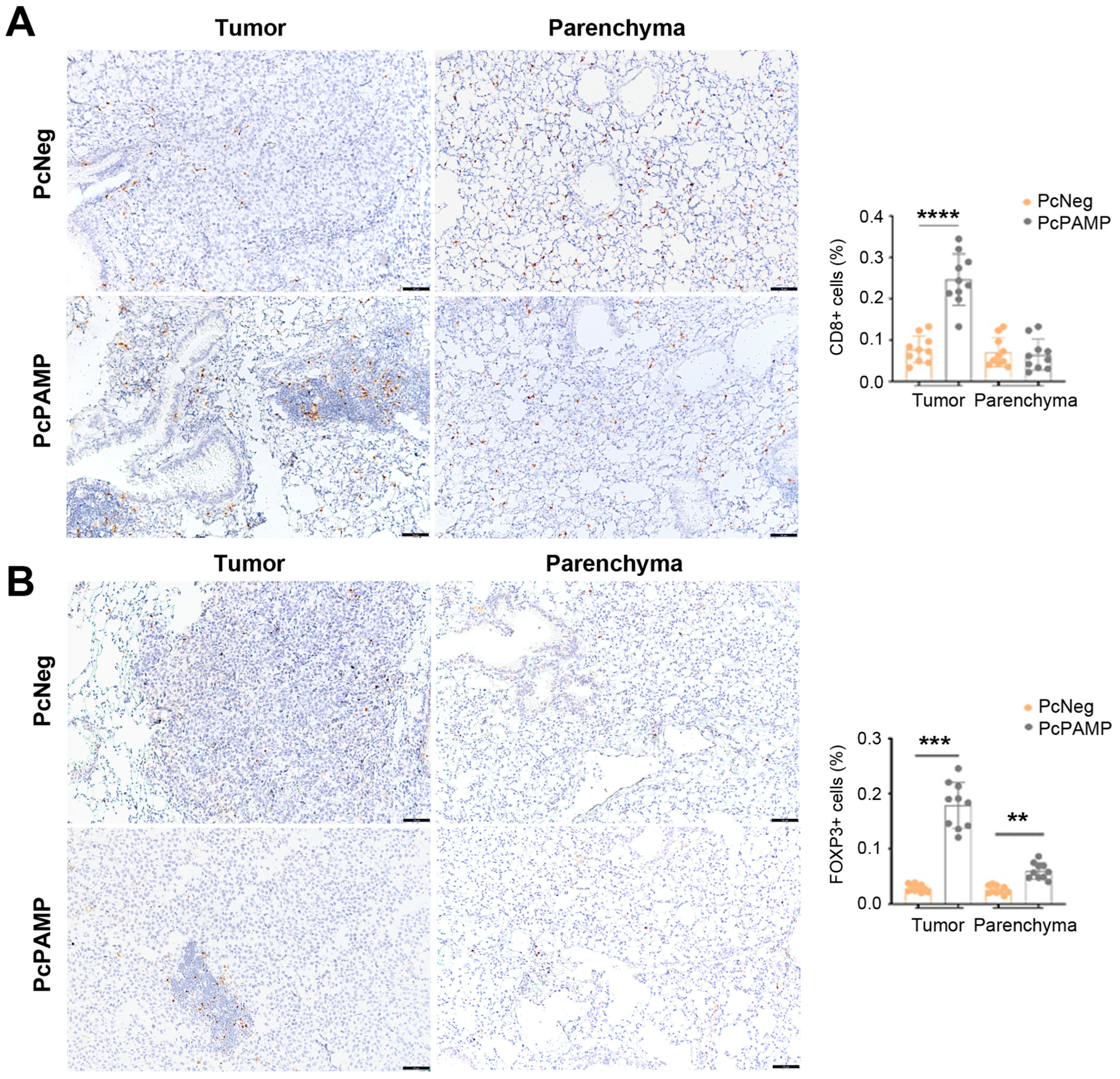 Vaccines 13 00586 g007 Vaccines 13 00586 g007