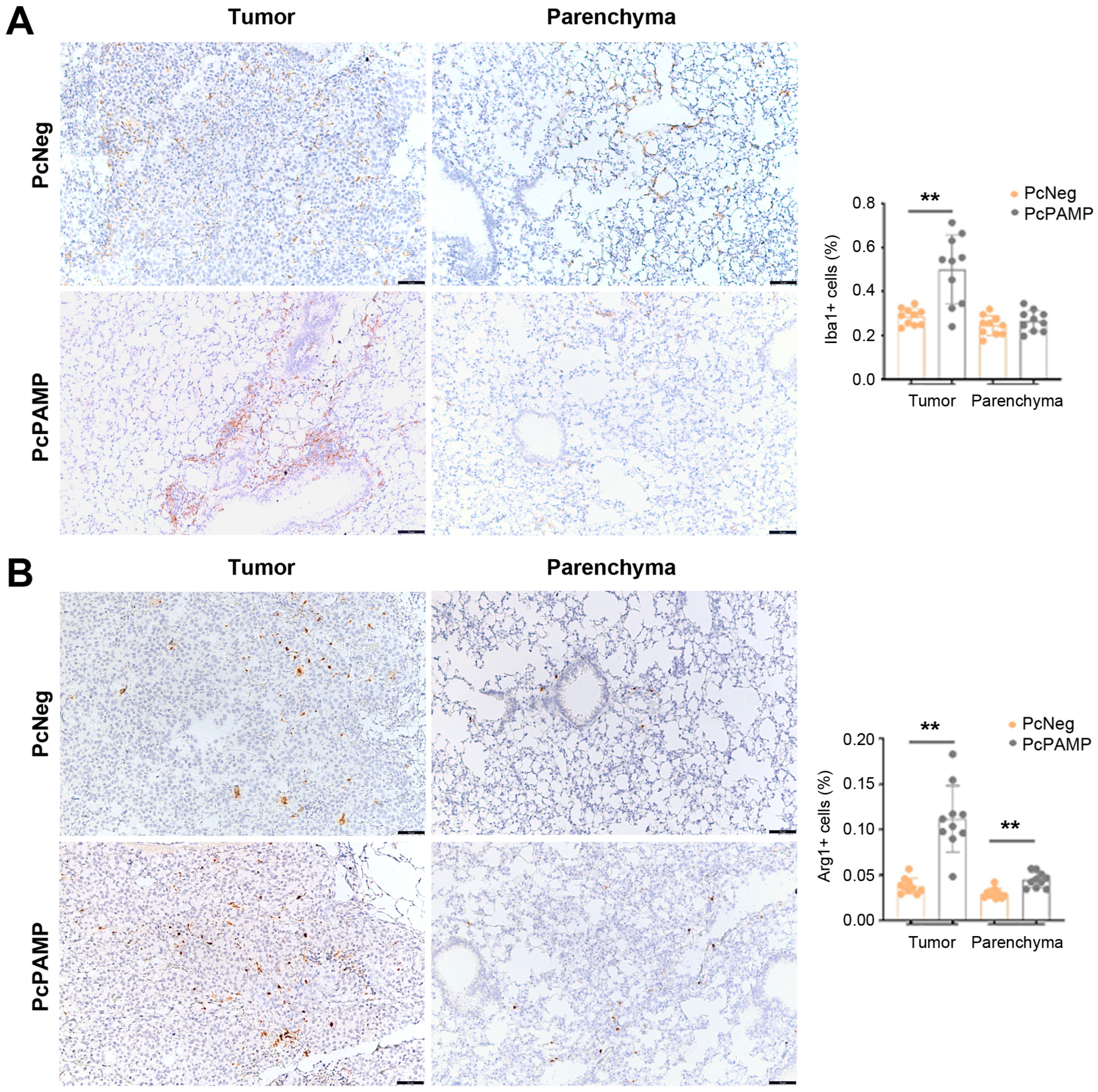 Vaccines 13 00586 g008 Vaccines 13 00586 g008
