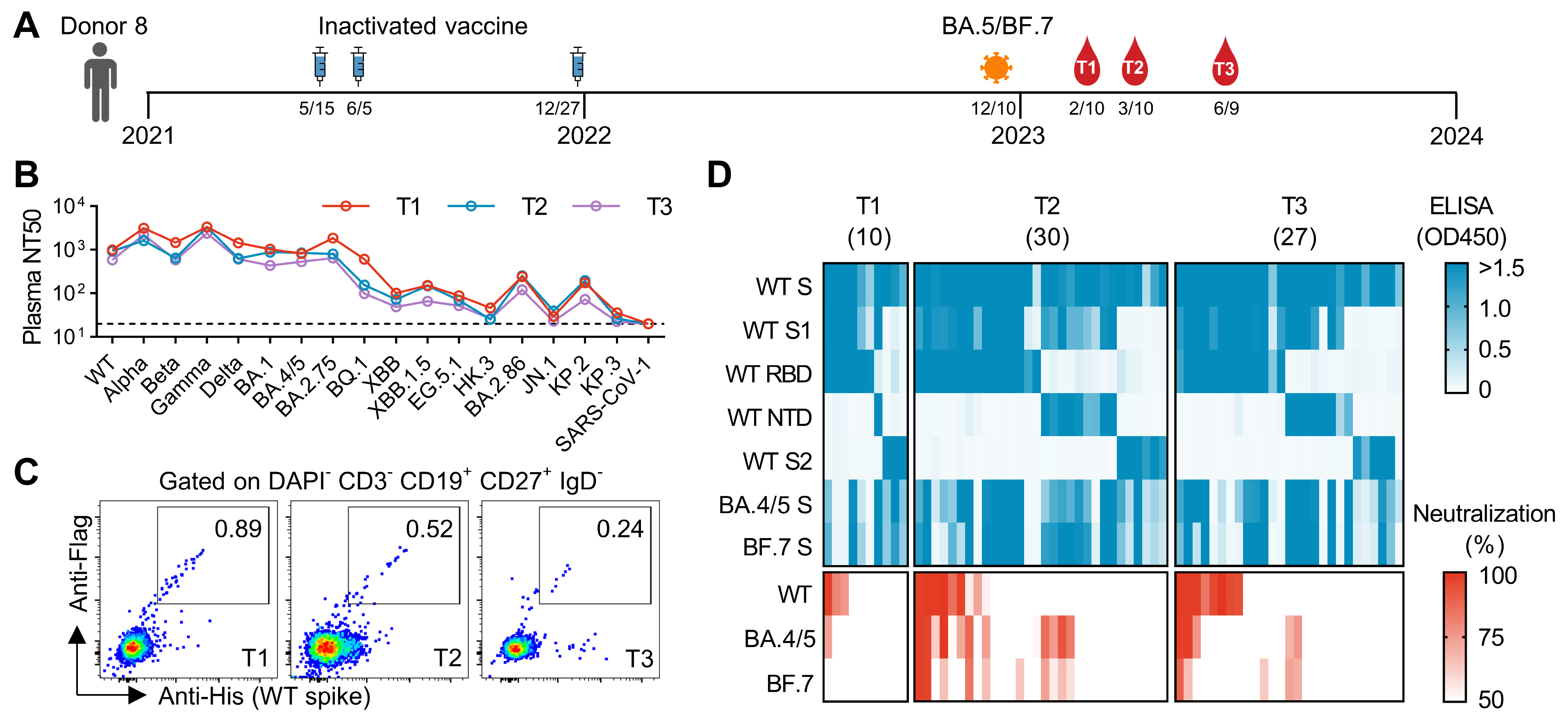 Vaccines 13 00592 g001