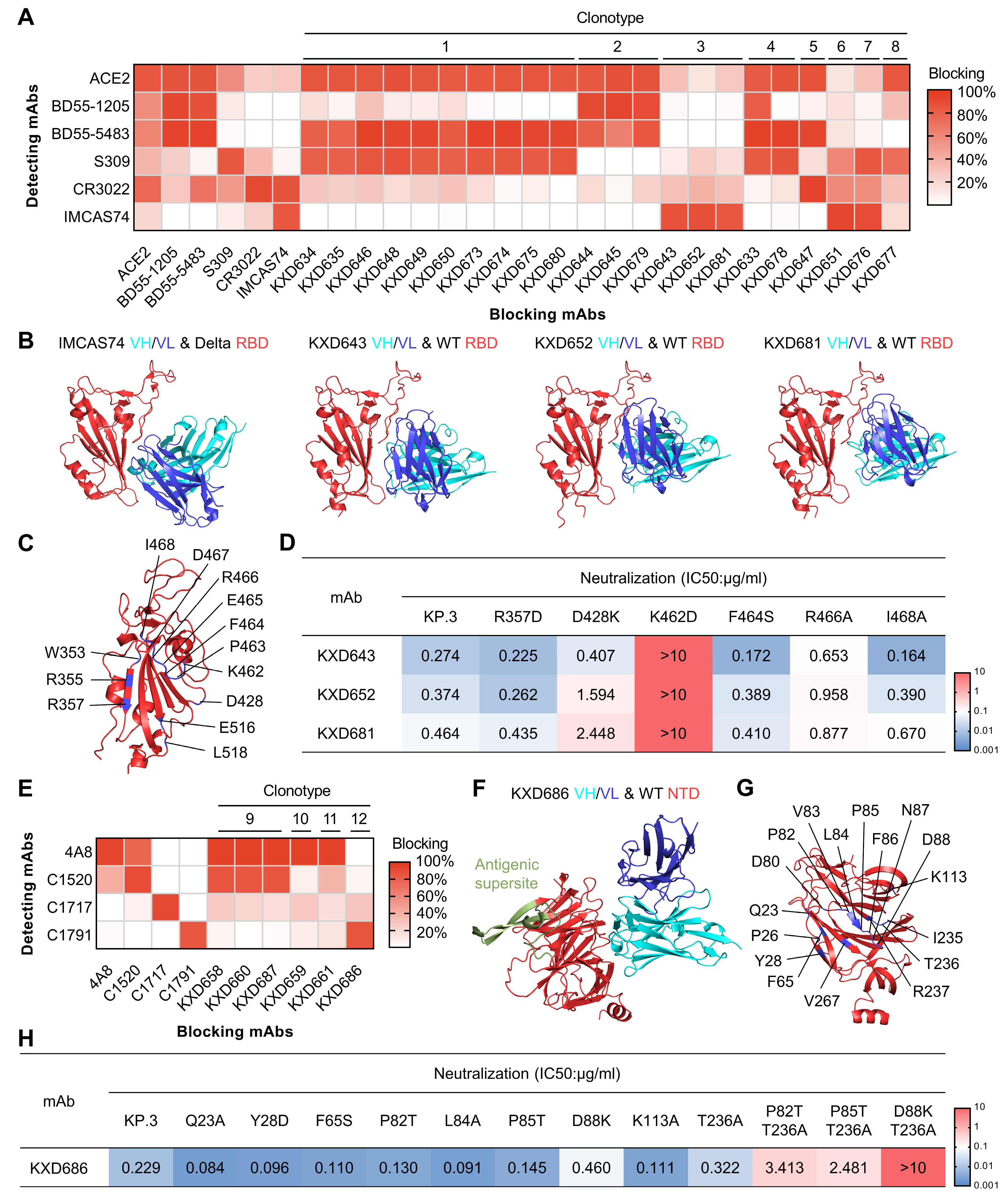 Vaccines 13 00592 g003