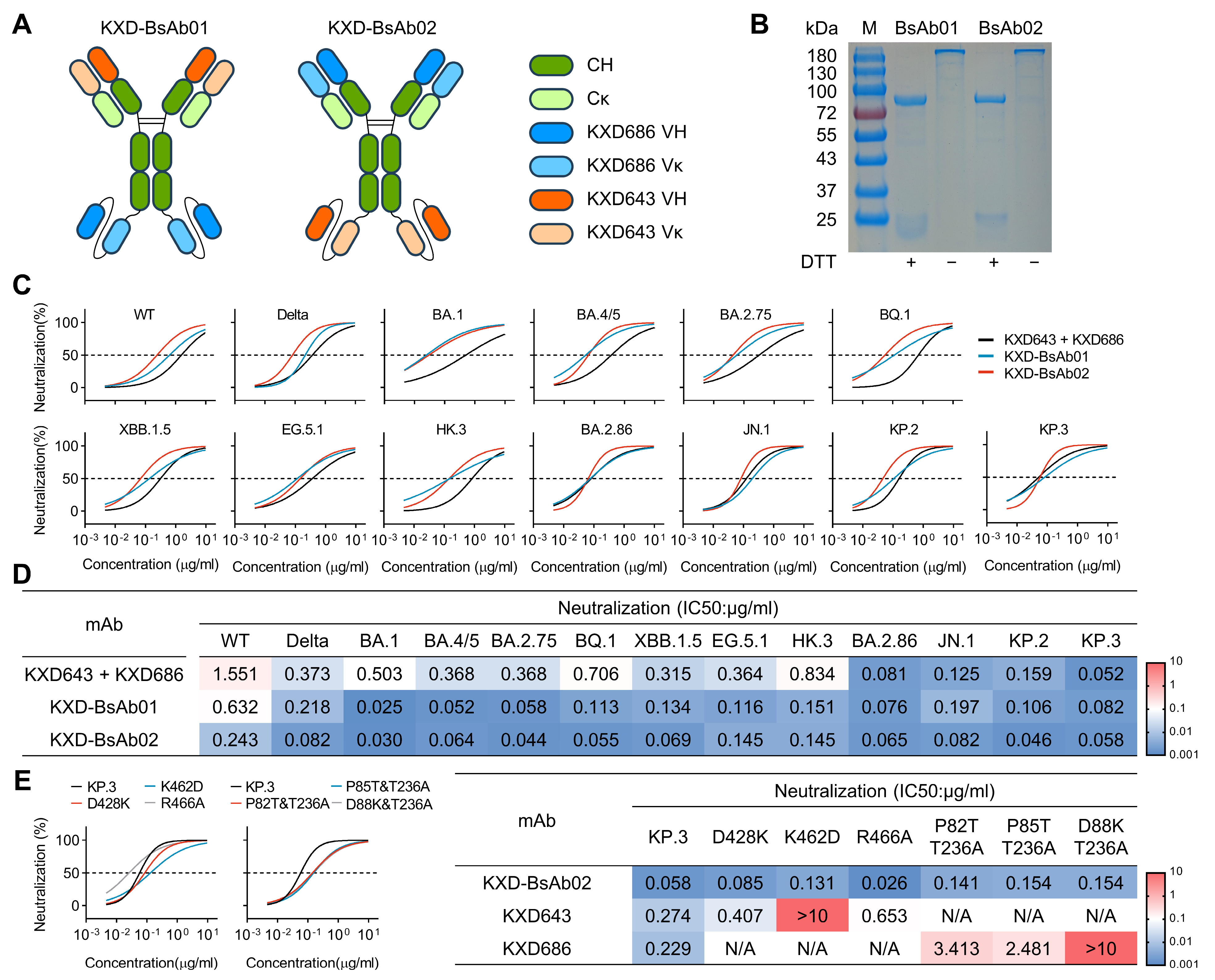 Vaccines 13 00592 g005