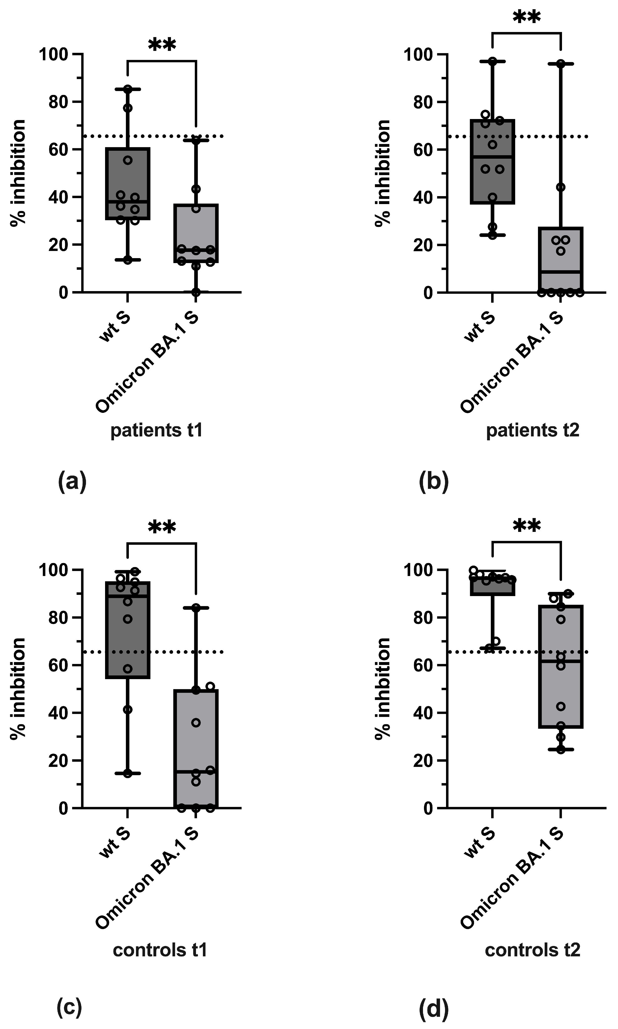 Vaccines 13 00595 g005