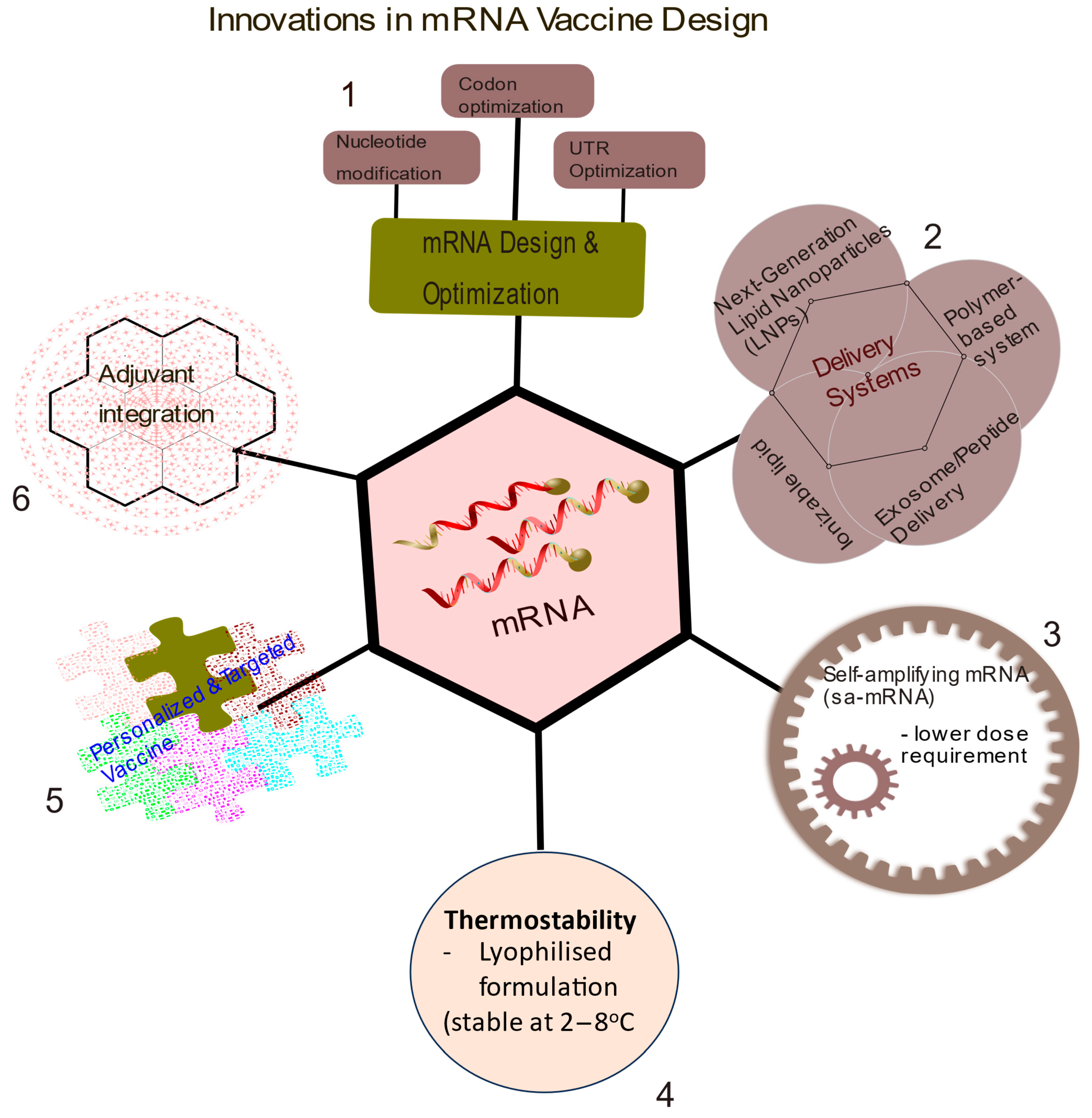 Vaccines 13 00601 g002