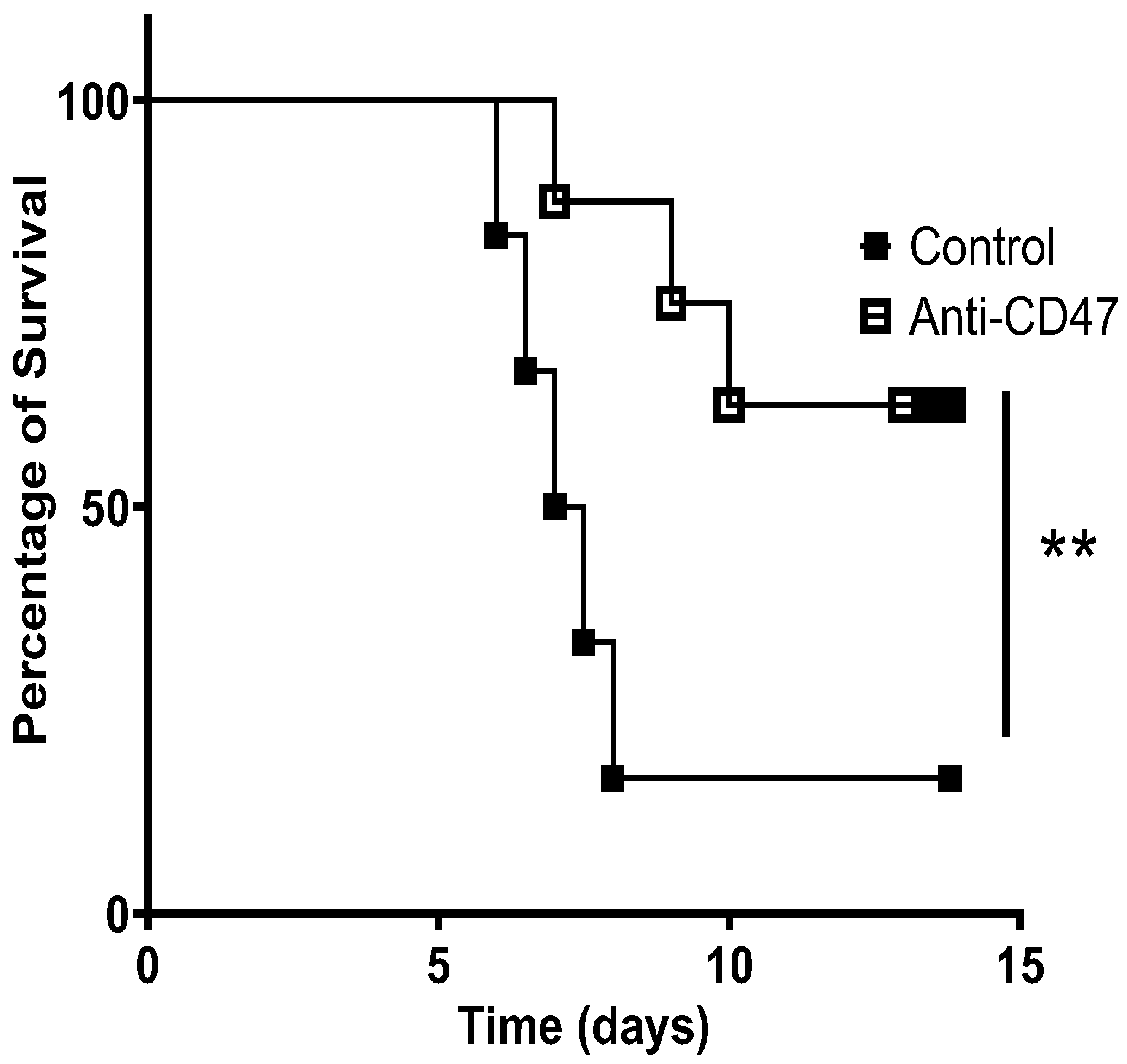 Vaccines 13 00602 g002