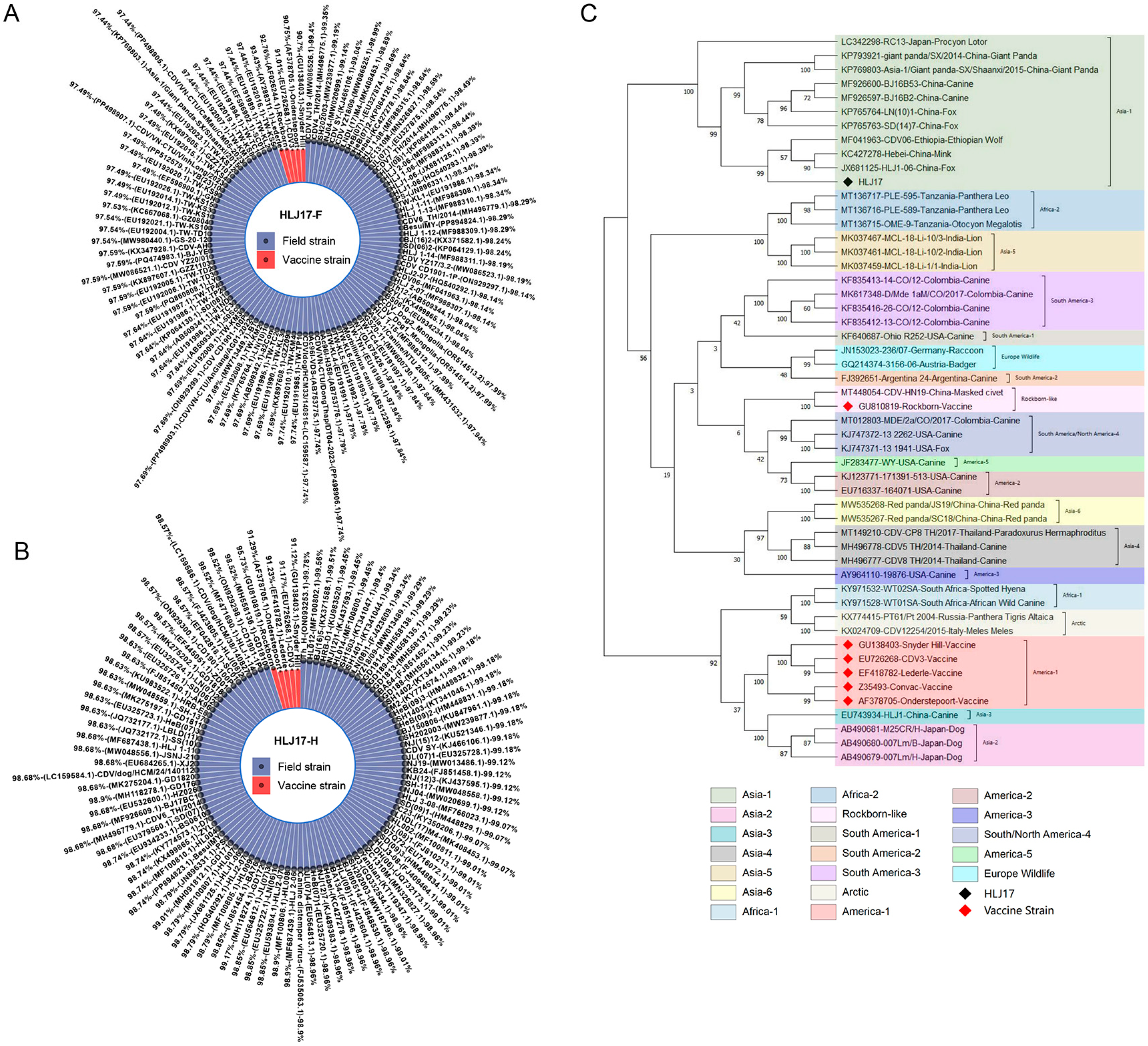 Vaccines 13 00614 g001