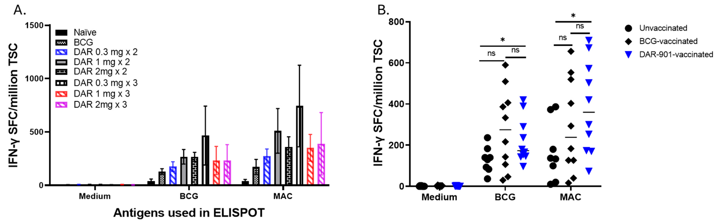 Vaccines 13 00619 g001 Vaccines 13 00619 g001
