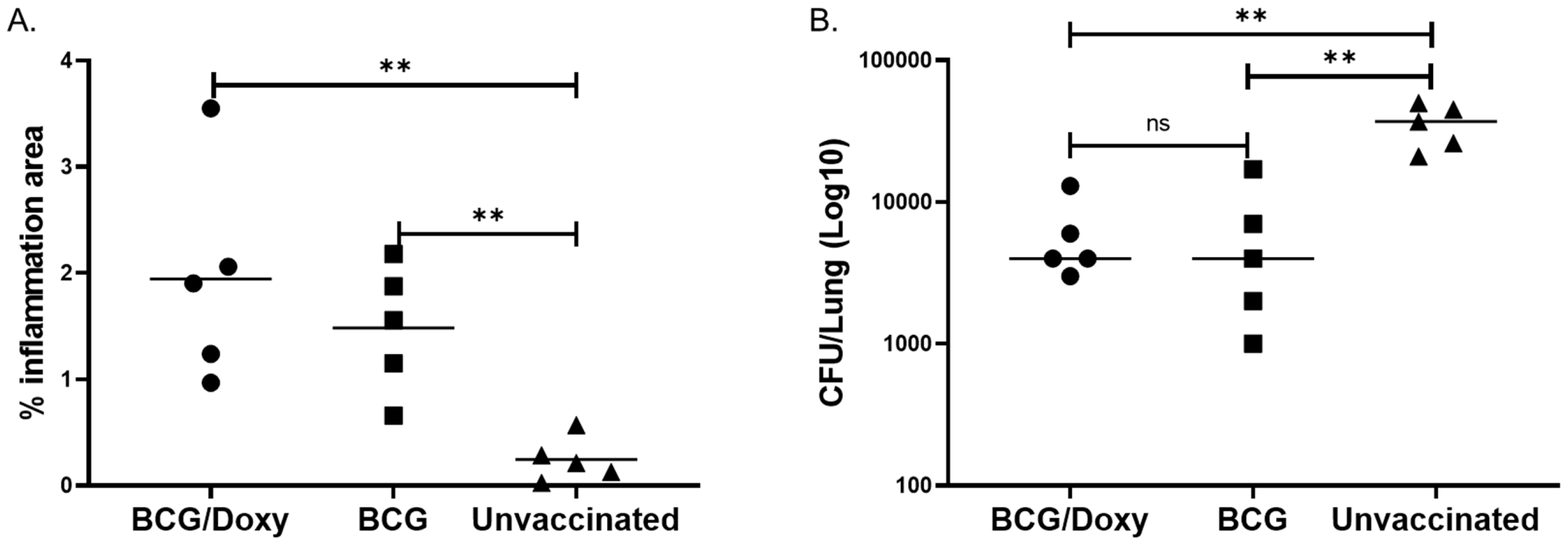 Vaccines 13 00619 g005 Vaccines 13 00619 g005