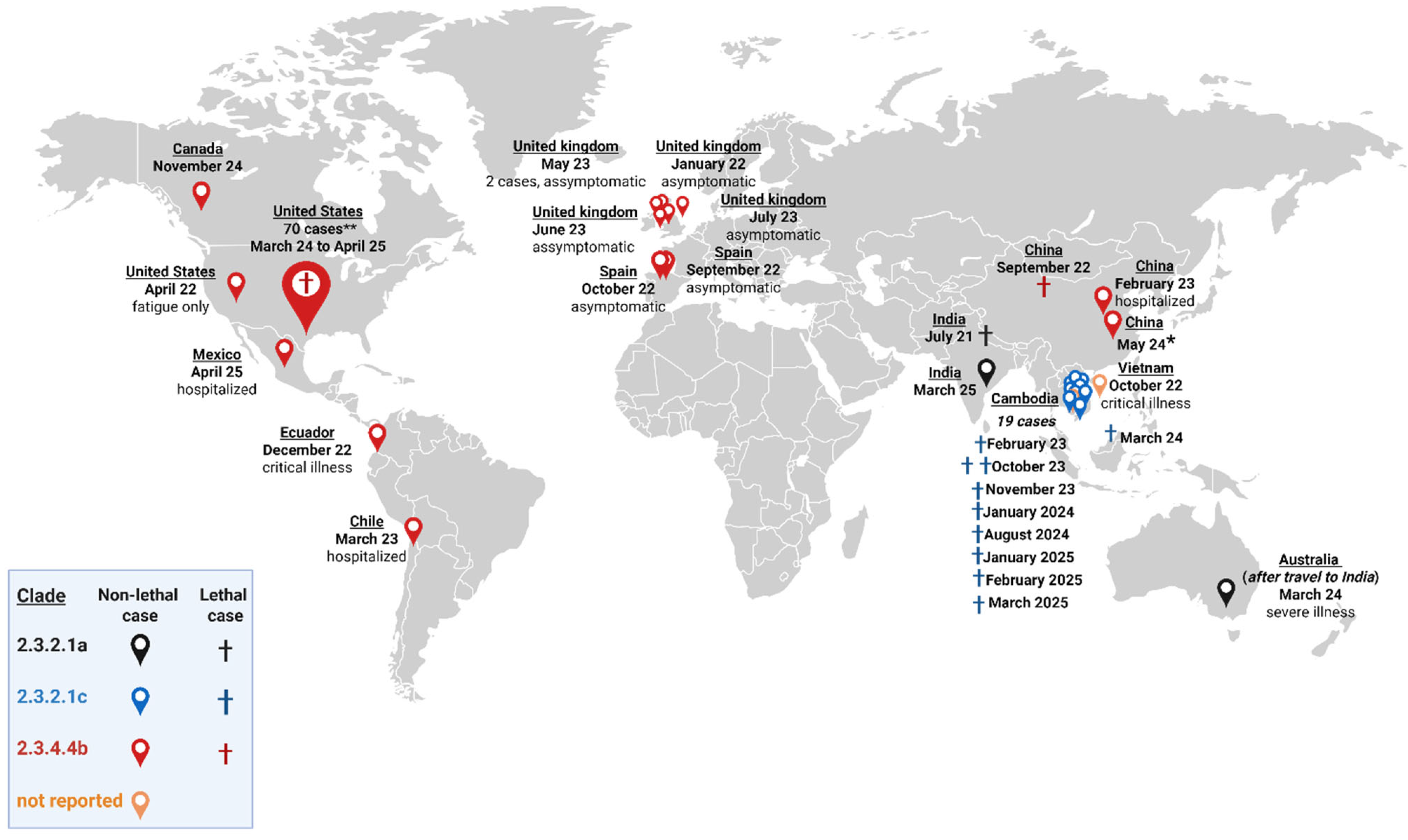 Vaccines 13 00620 g001