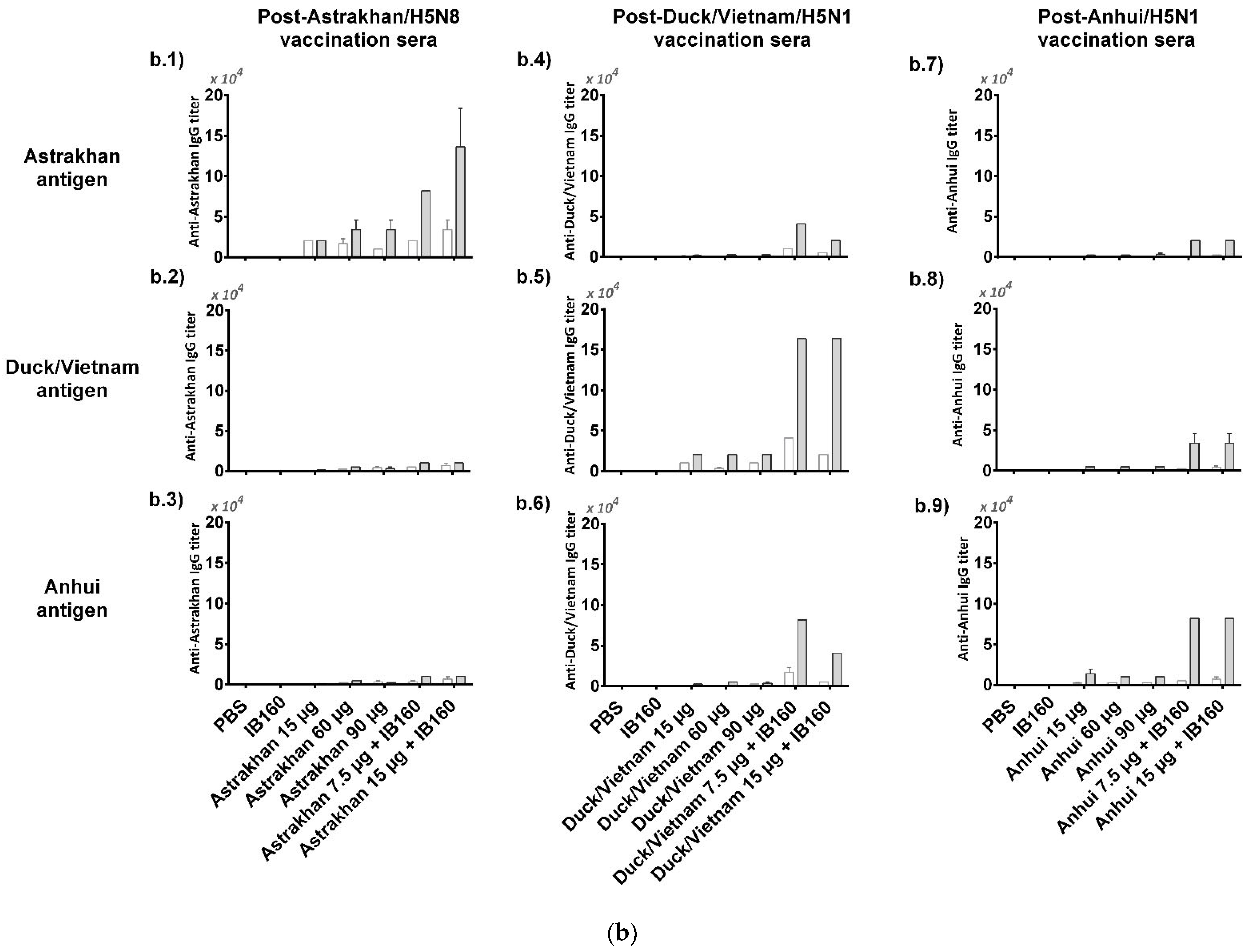 Vaccines 13 00620 g003b